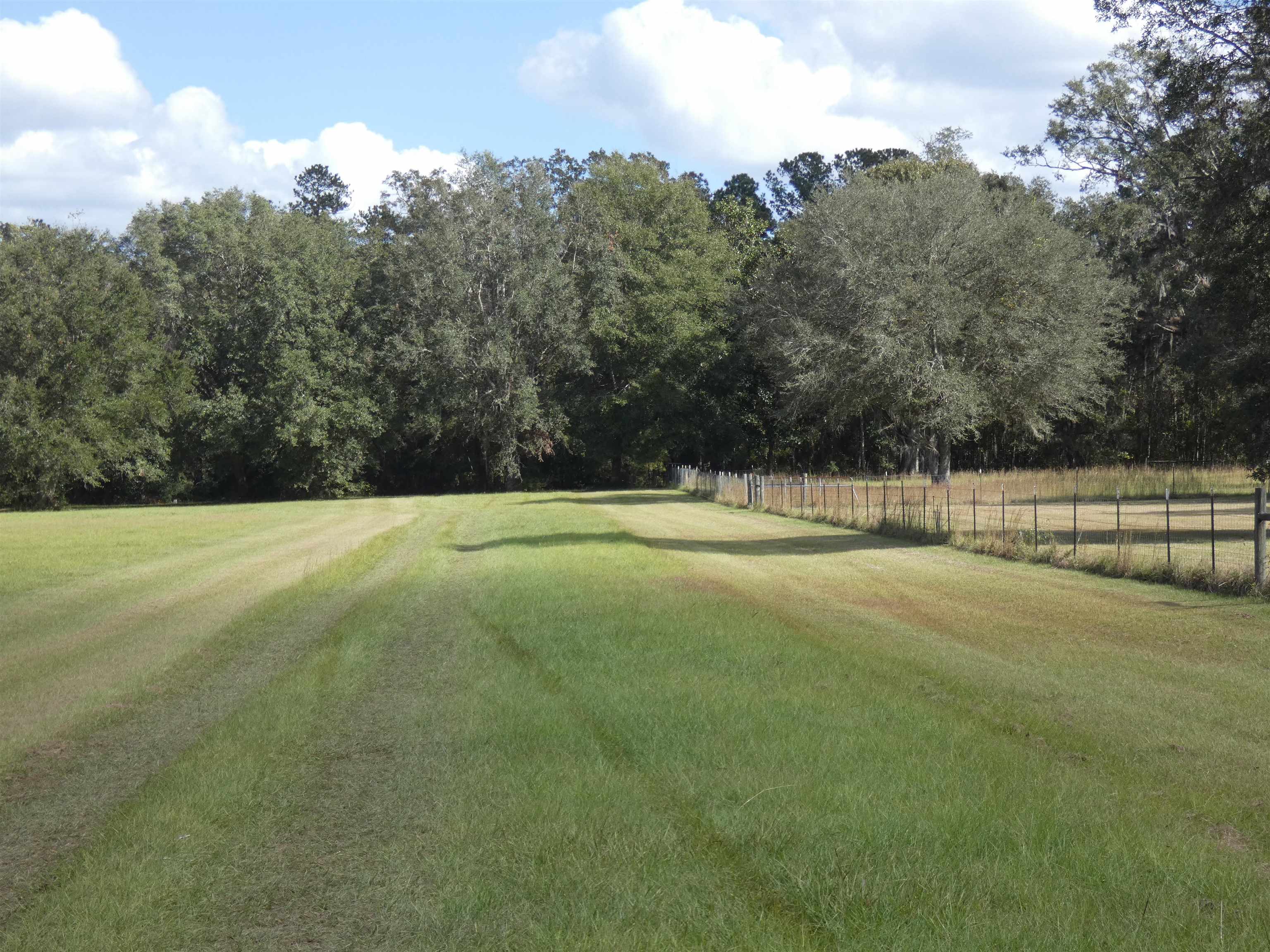 TBD Taylor Road, Monticello, Florida image 7