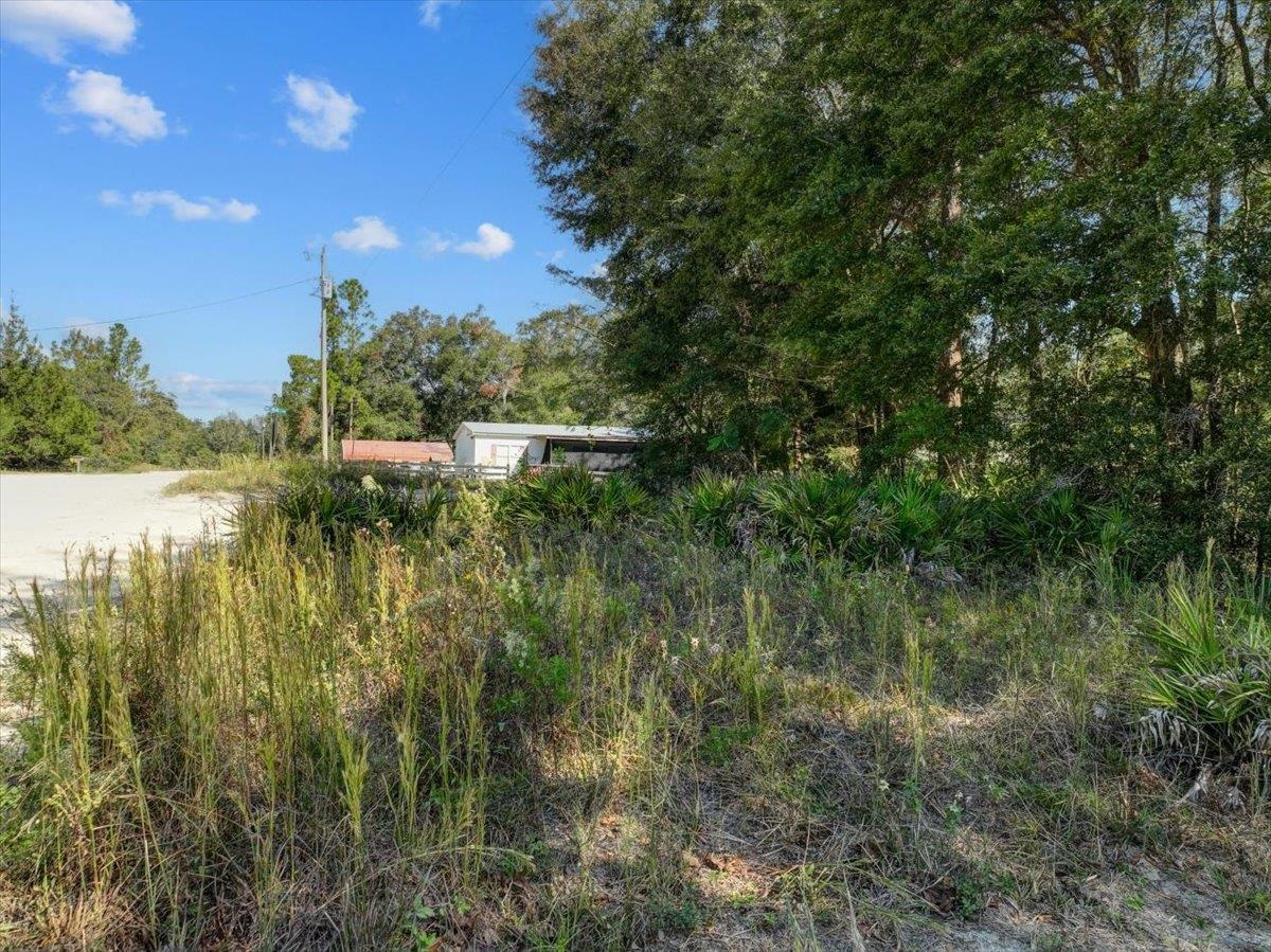 Vacant Se 64th Ter/se84th Lane, Trenton, Florida image 13