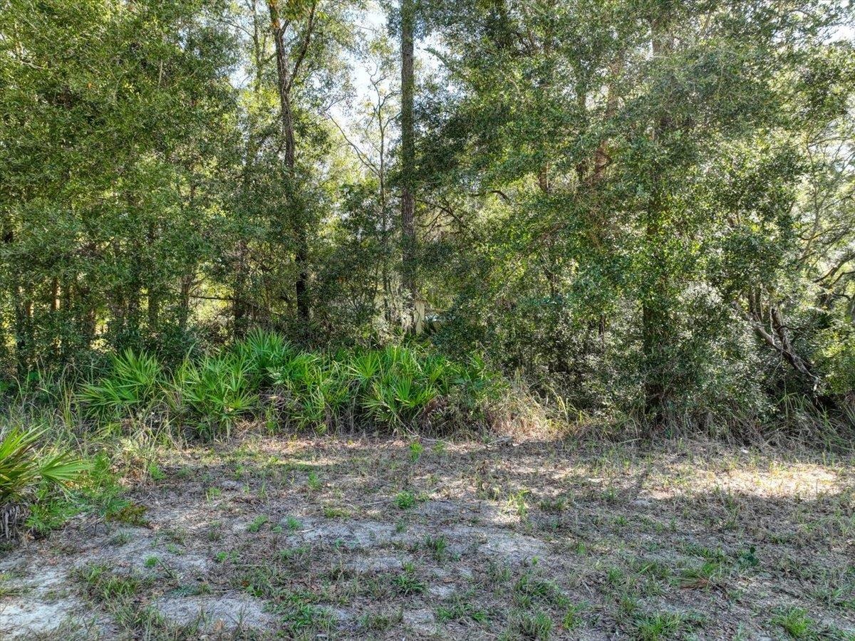 Vacant Se 64th Ter/se84th Lane, Trenton, Florida image 14