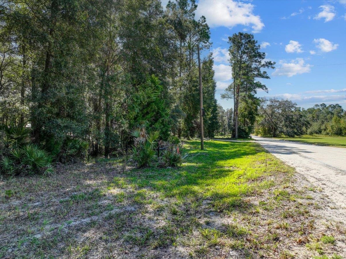 Vacant Se 64th Ter/se84th Lane, Trenton, Florida image 15