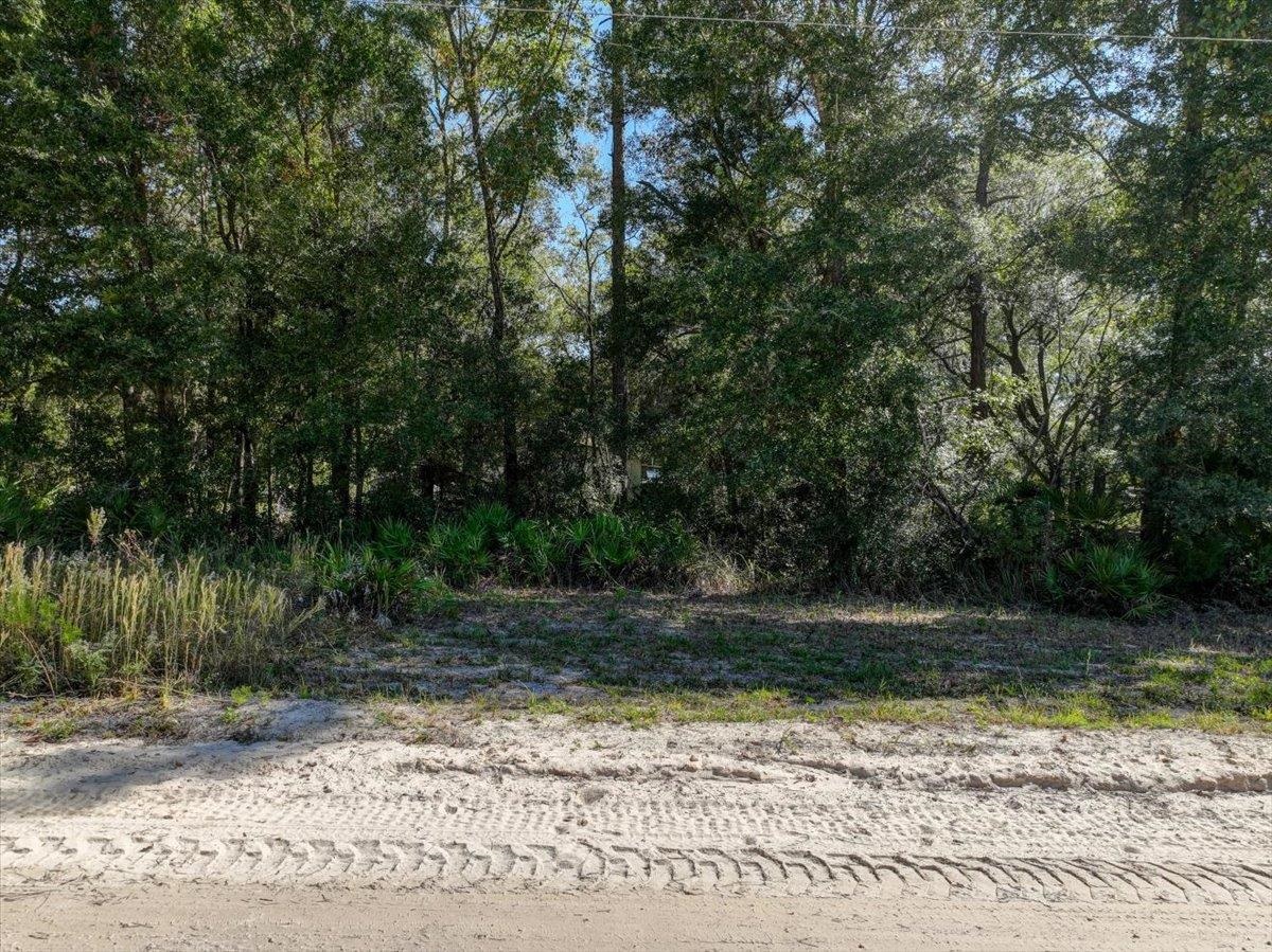 Vacant Se 64th Ter/se84th Lane, Trenton, Florida image 20