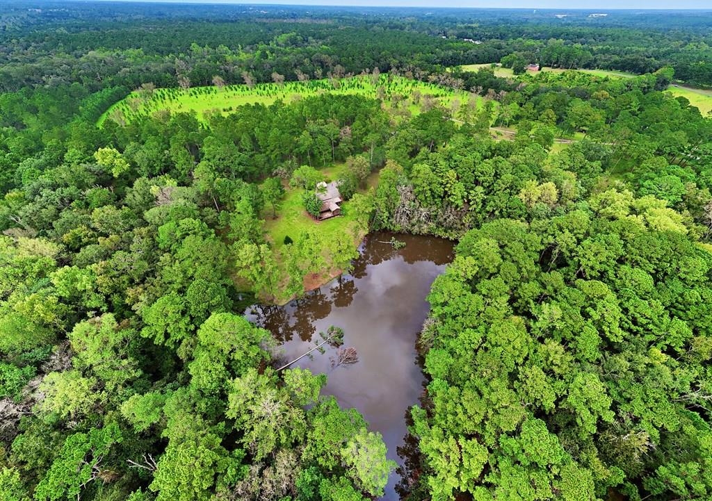 1822 Hadley Ferry Road, Cairo, Georgia image 16