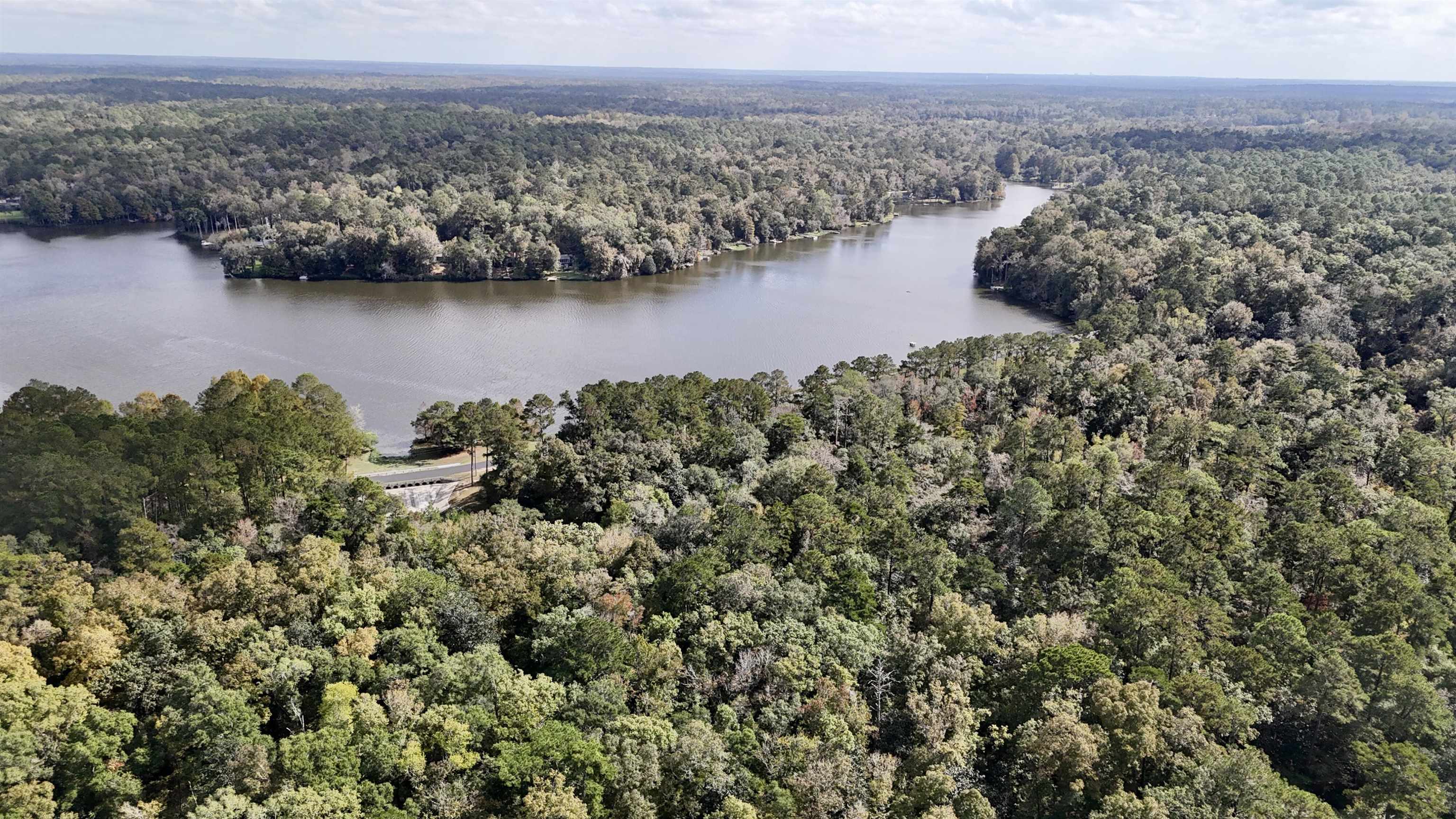 Honeysuckle Drive, Havana, Florida image 15