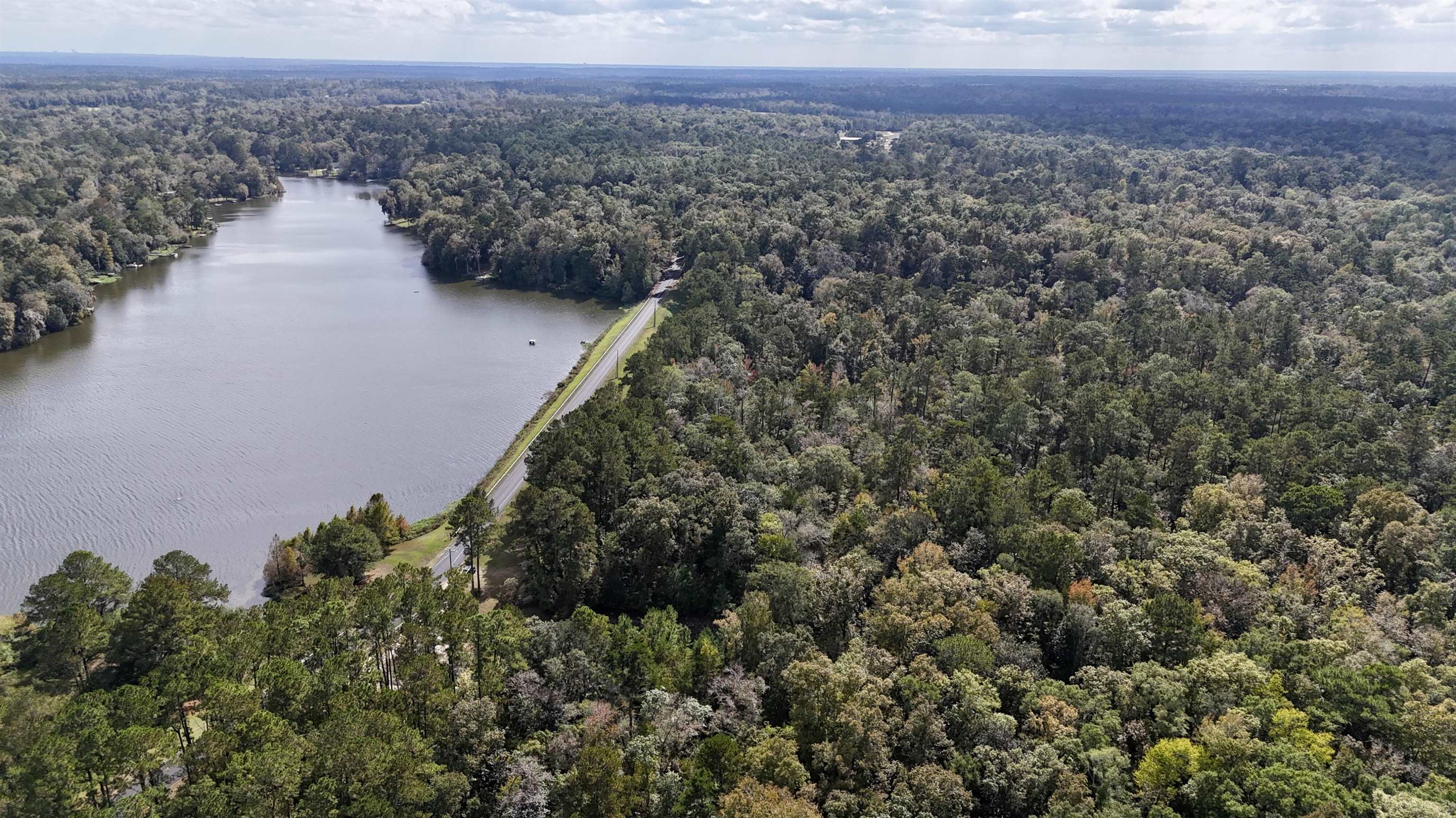 Honeysuckle Drive, Havana, Florida image 16