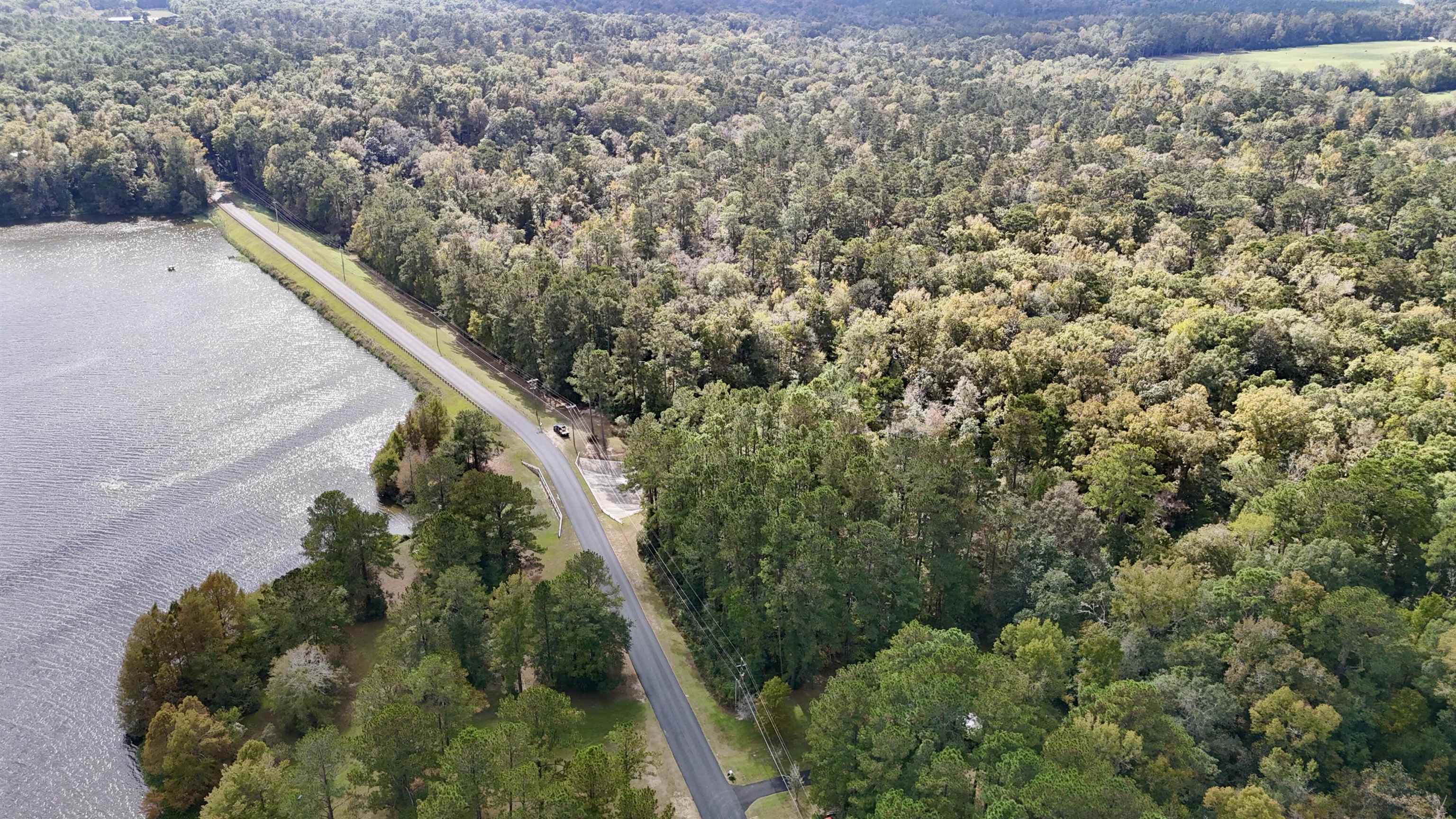 Honeysuckle Drive, Havana, Florida image 17