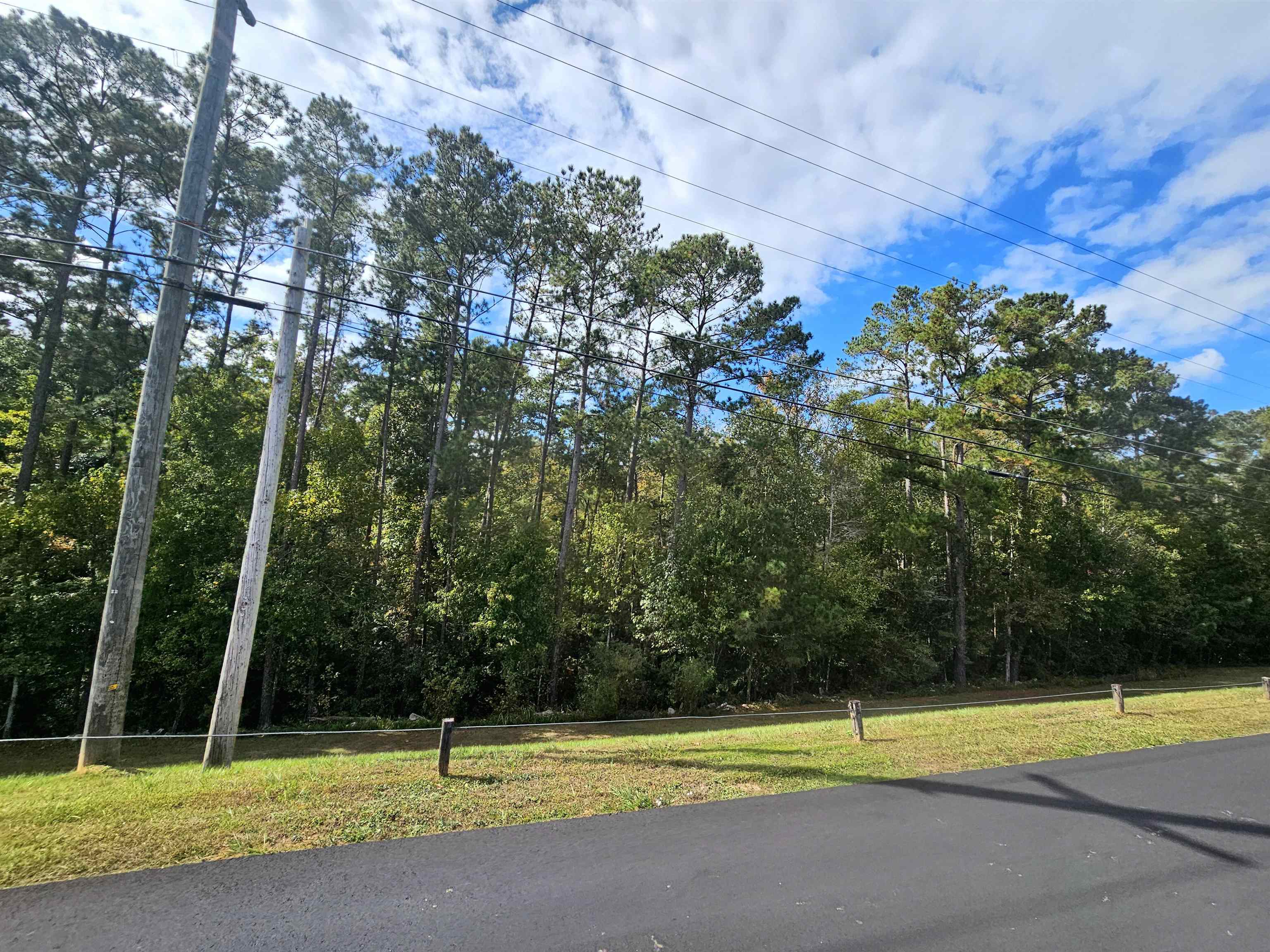 Honeysuckle Drive, Havana, Florida image 31