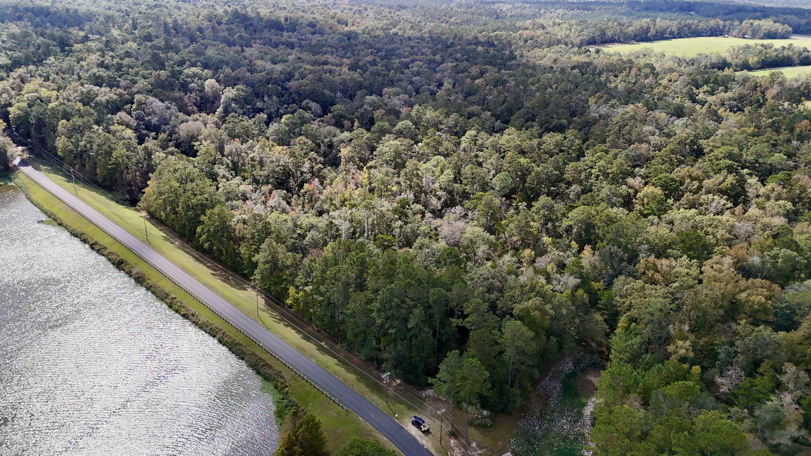 Honeysuckle Drive, Havana, Florida image 5