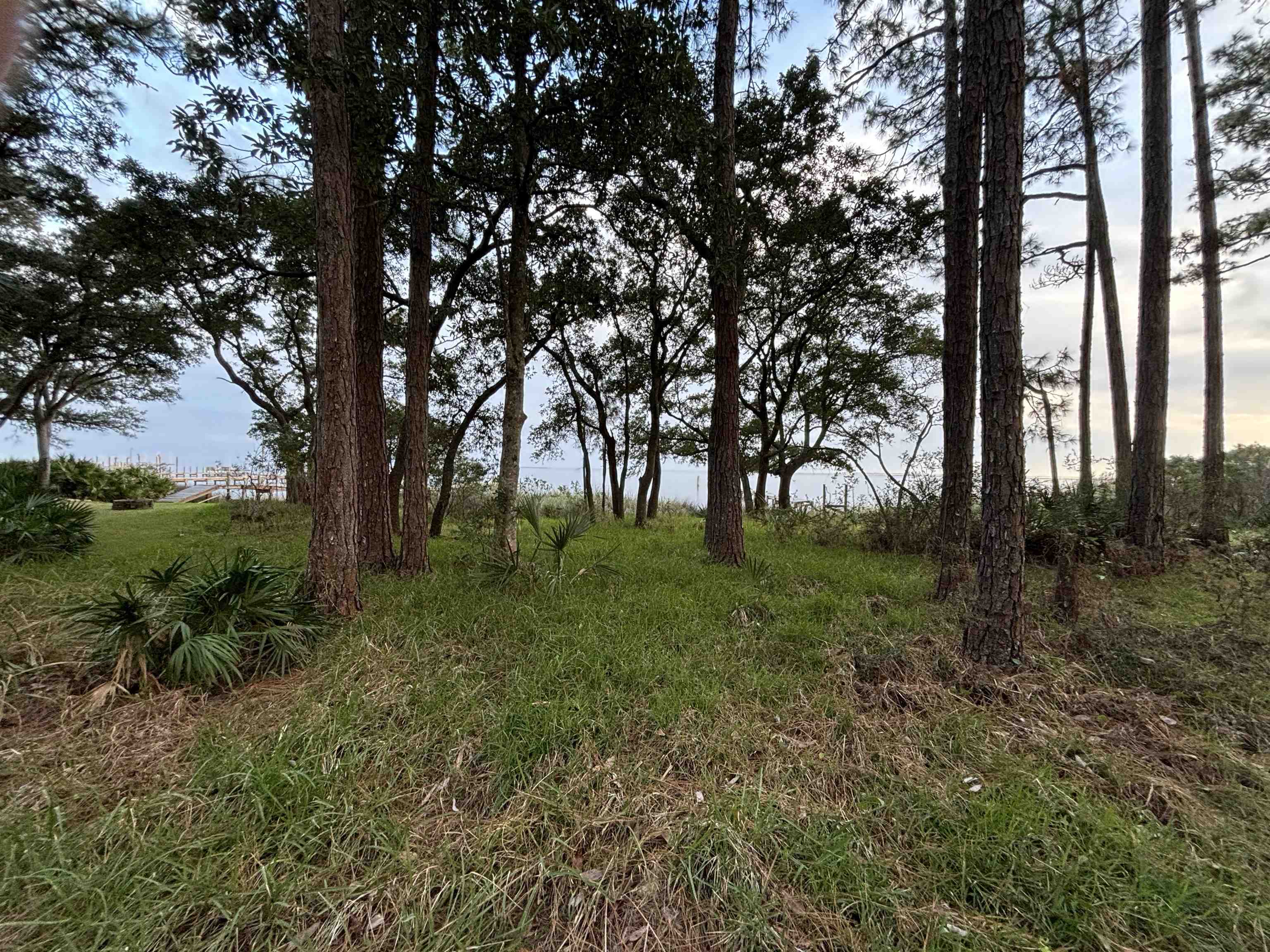 2510 E Hwy 98, Carrabelle, Florida image 4