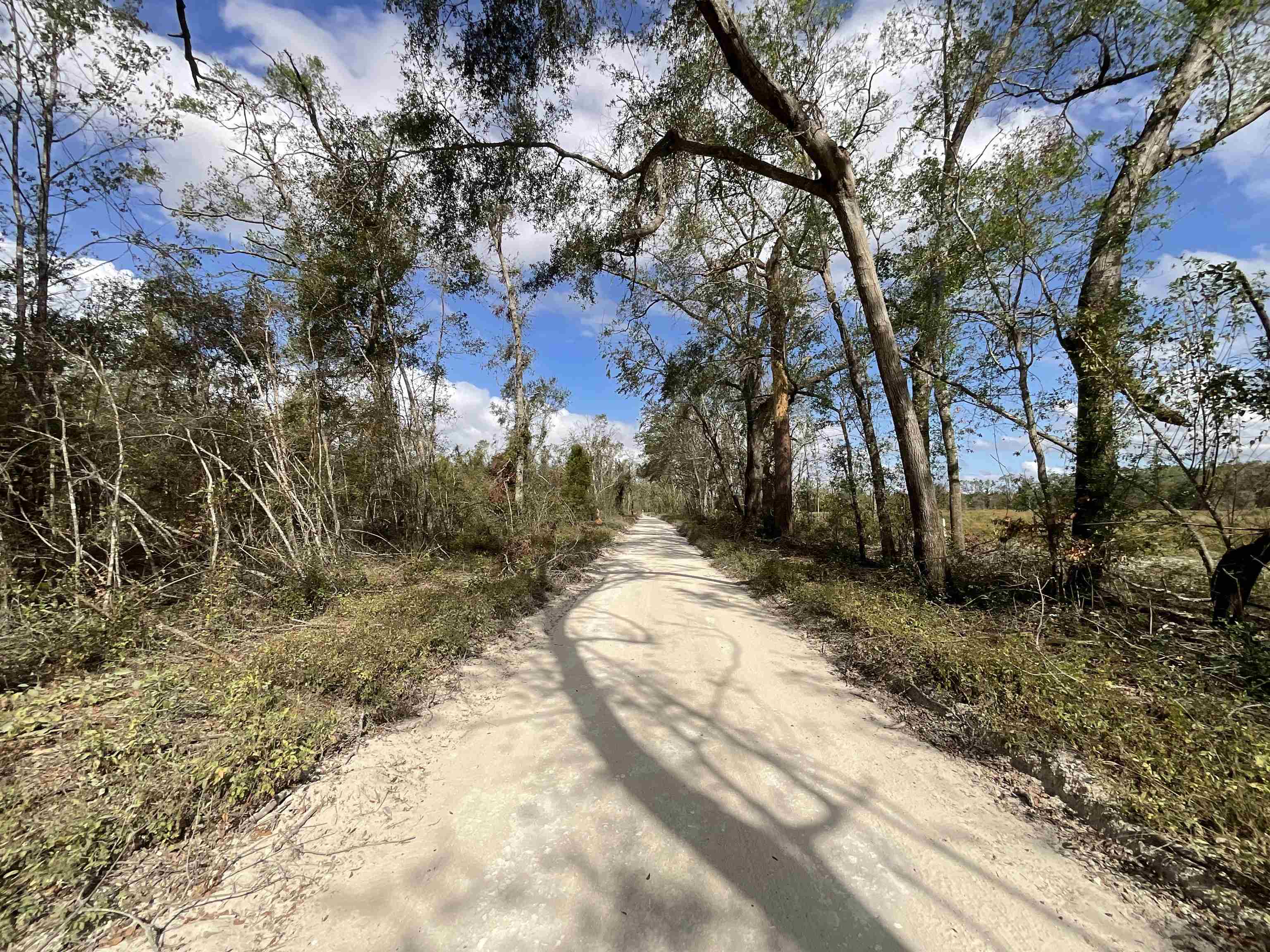 Vacant SE River Road, Lee, Florida image 12