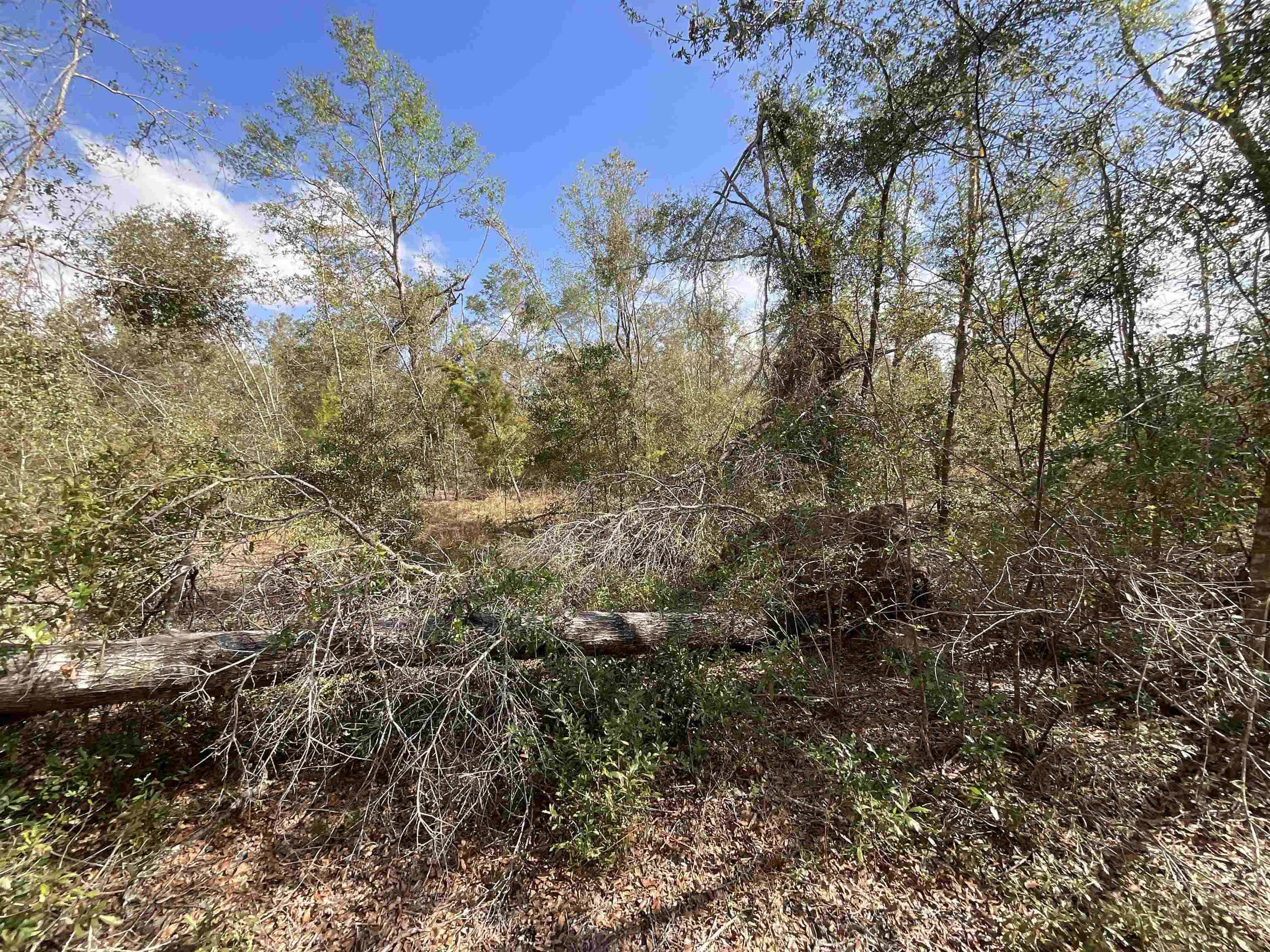 Vacant SE River Road, Lee, Florida image 16