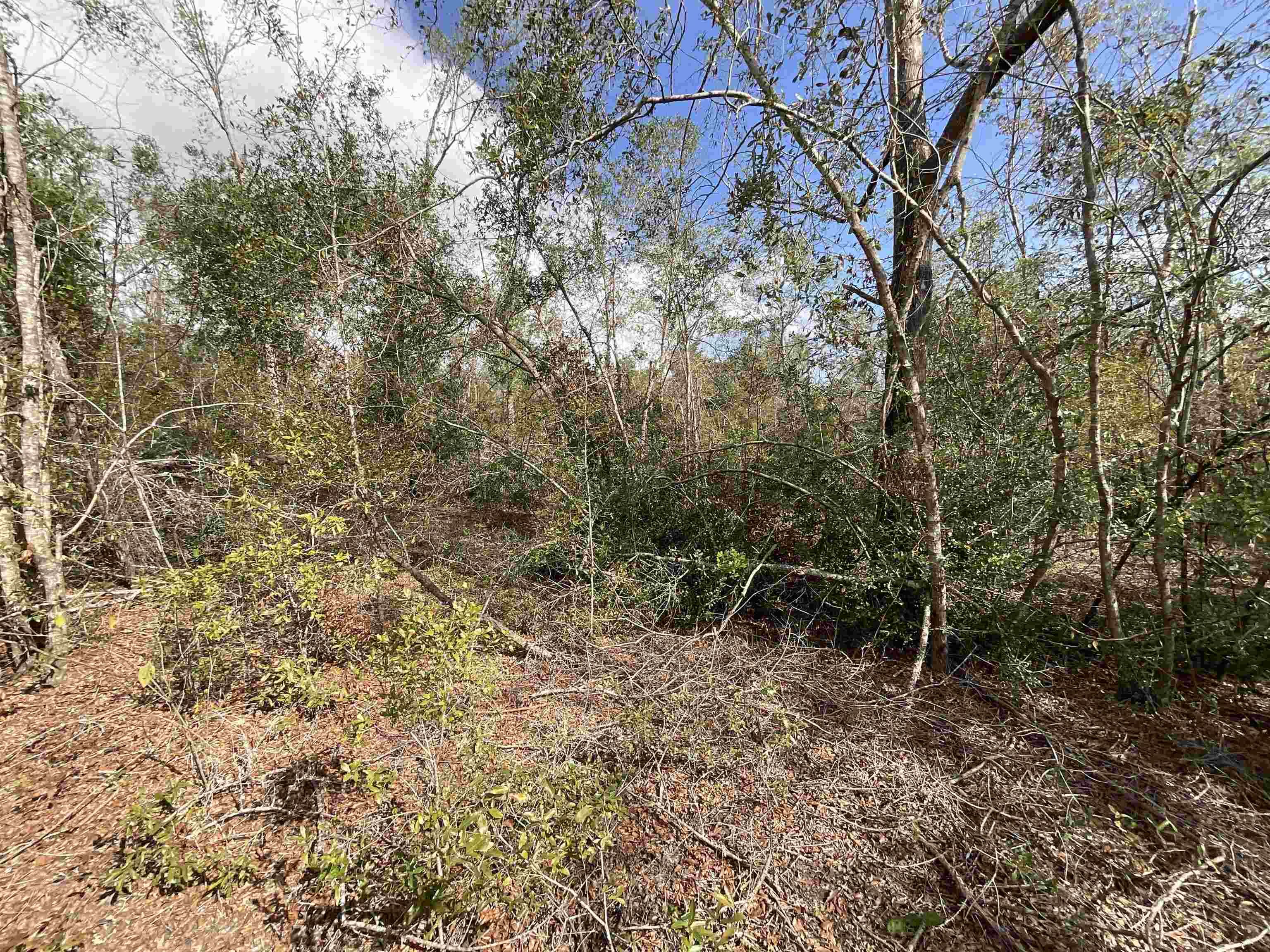 Vacant SE River Road, Lee, Florida image 17