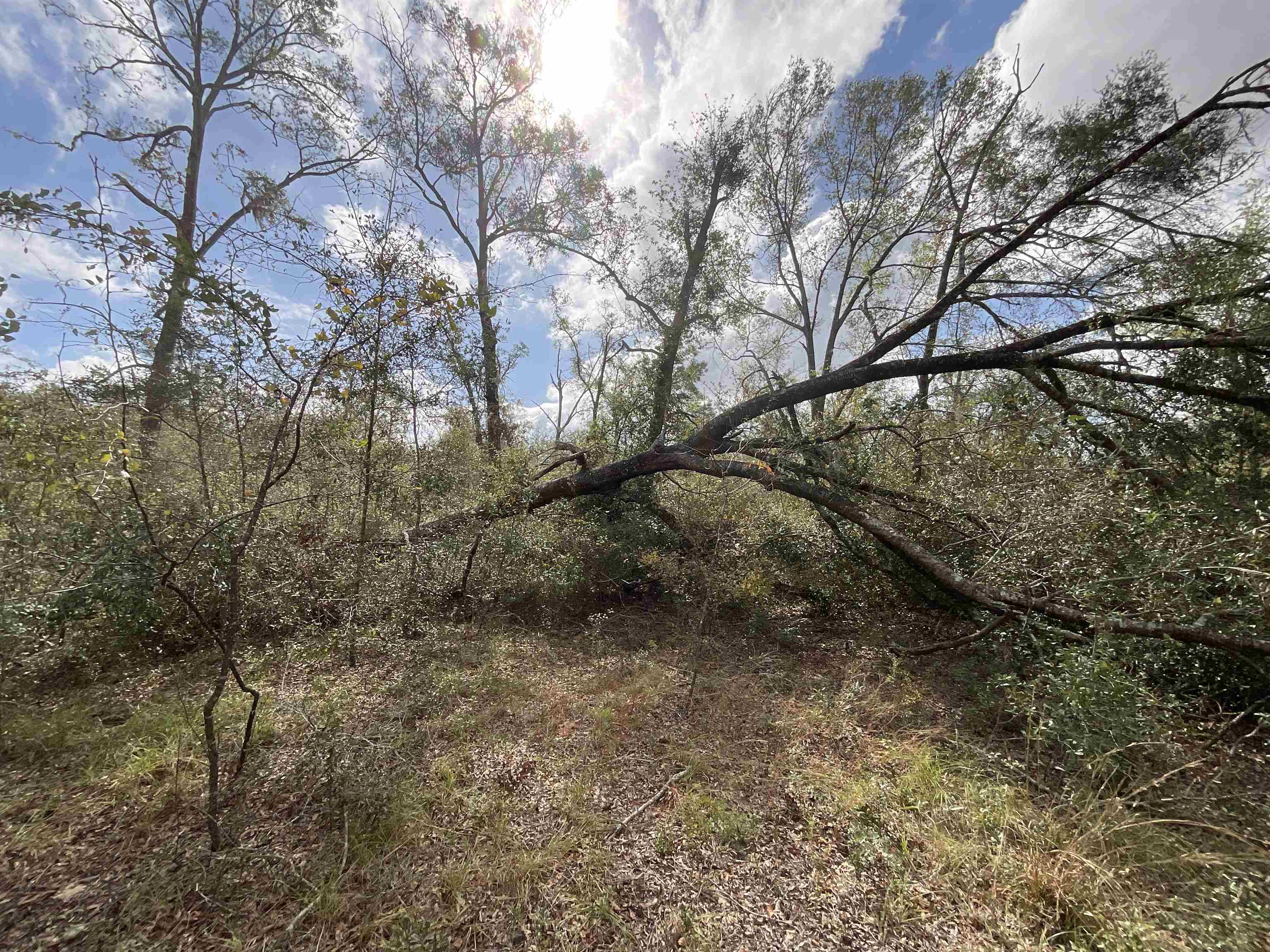 Vacant SE River Road, Lee, Florida image 19