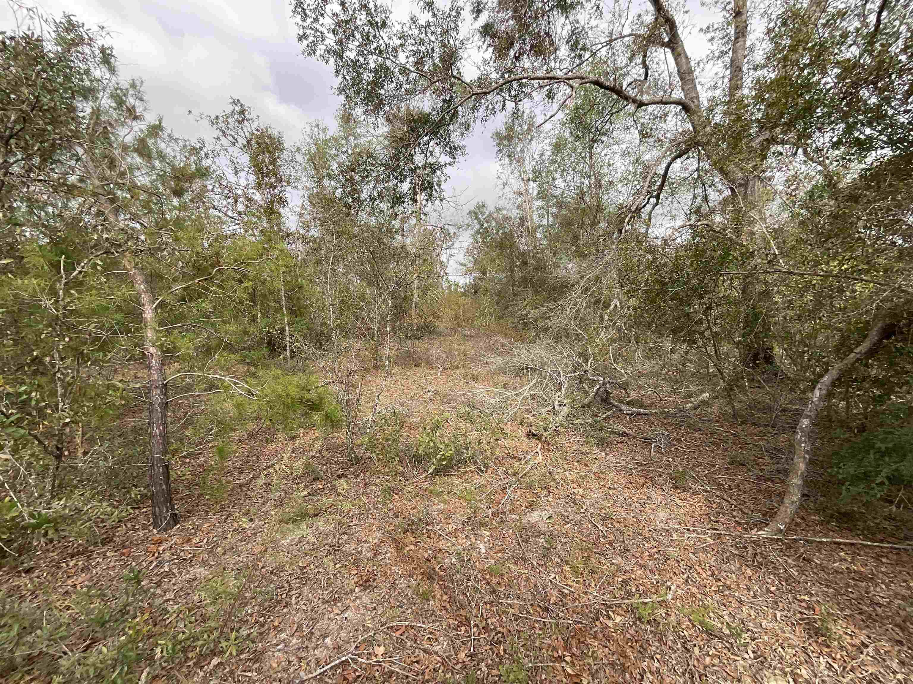 Vacant SE River Road, Lee, Florida image 29