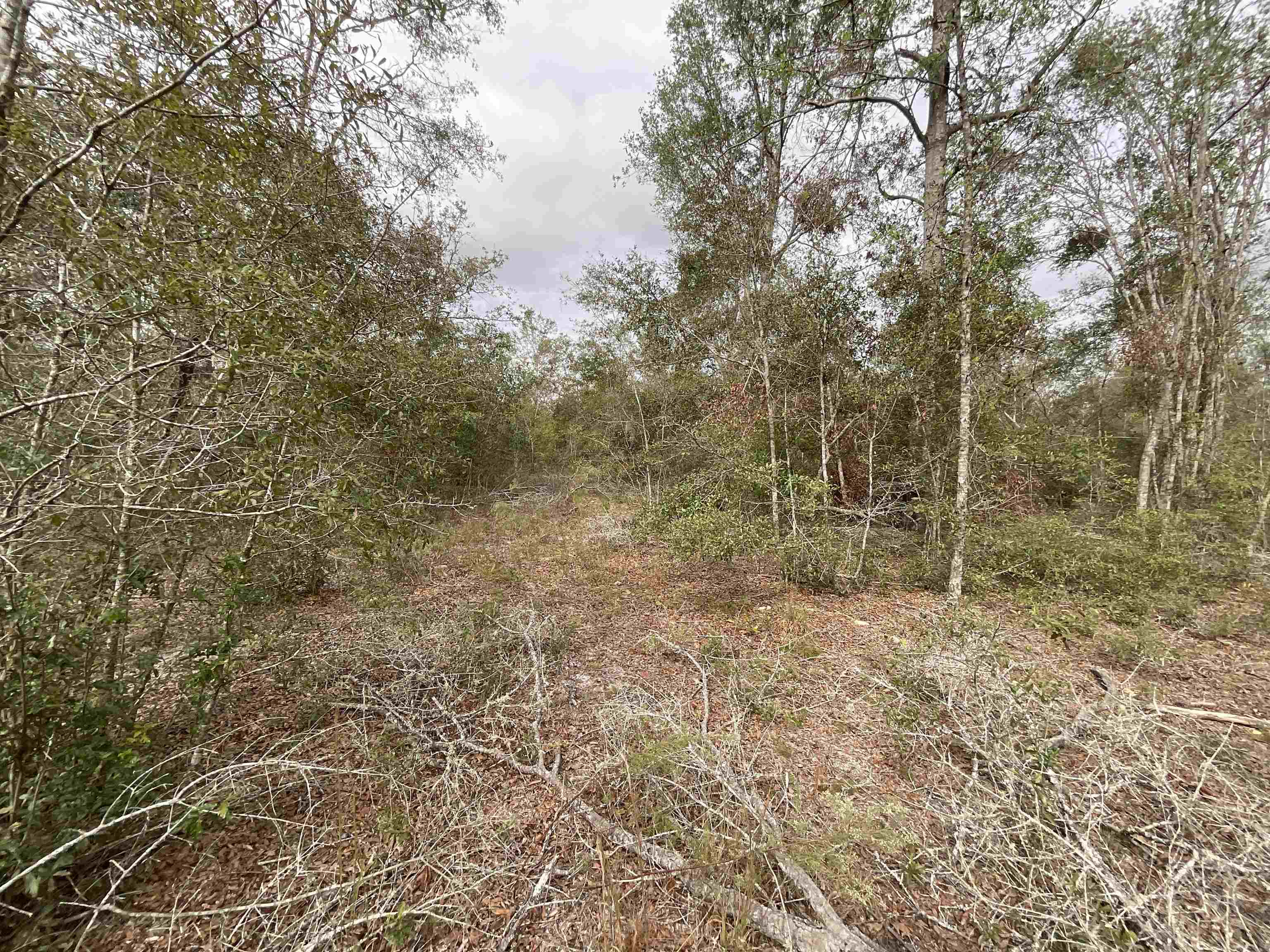 Vacant SE River Road, Lee, Florida image 30