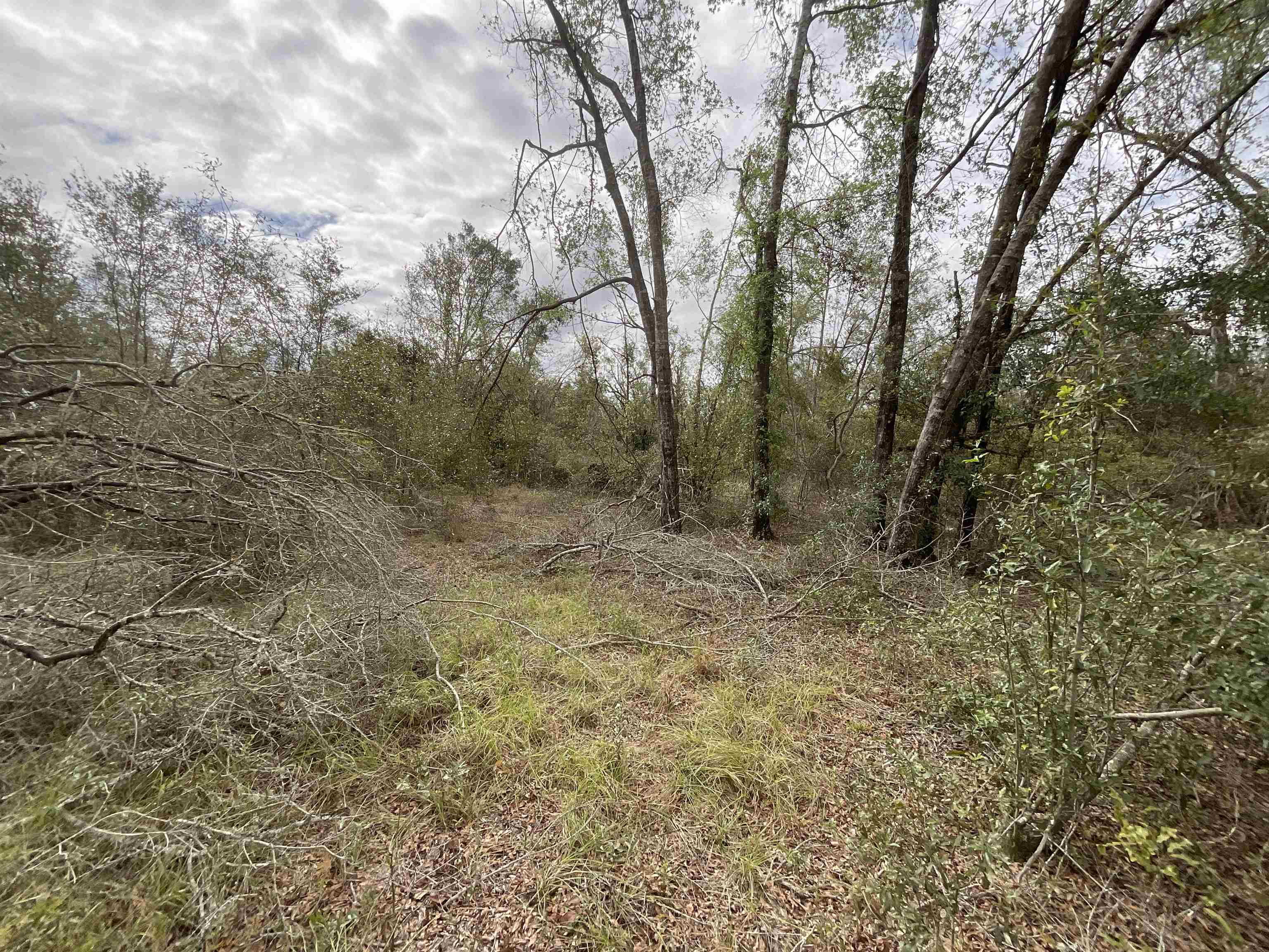 Vacant SE River Road, Lee, Florida image 33