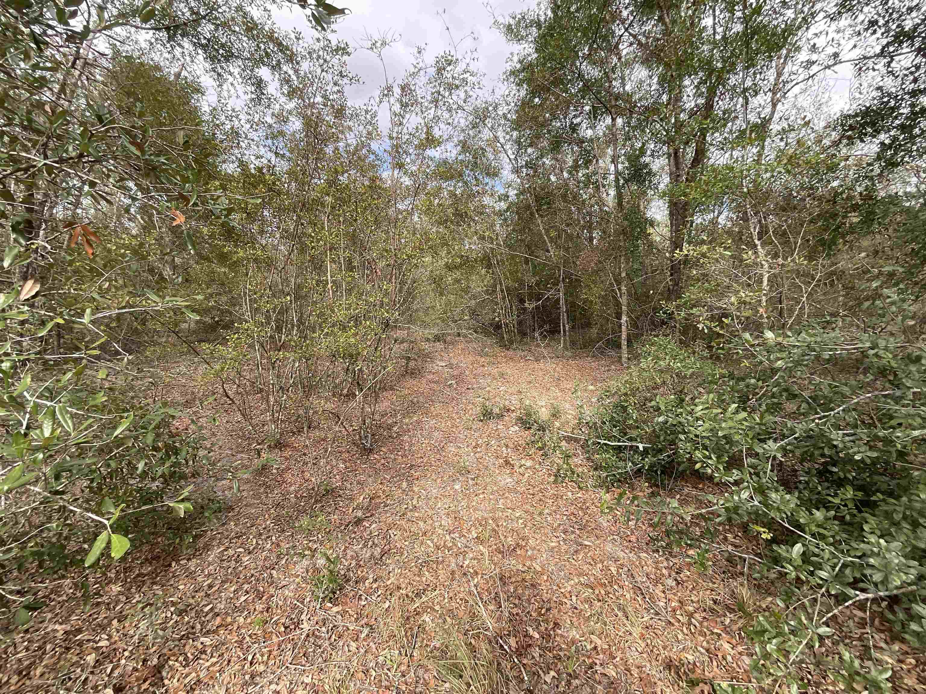 Vacant SE River Road, Lee, Florida image 36