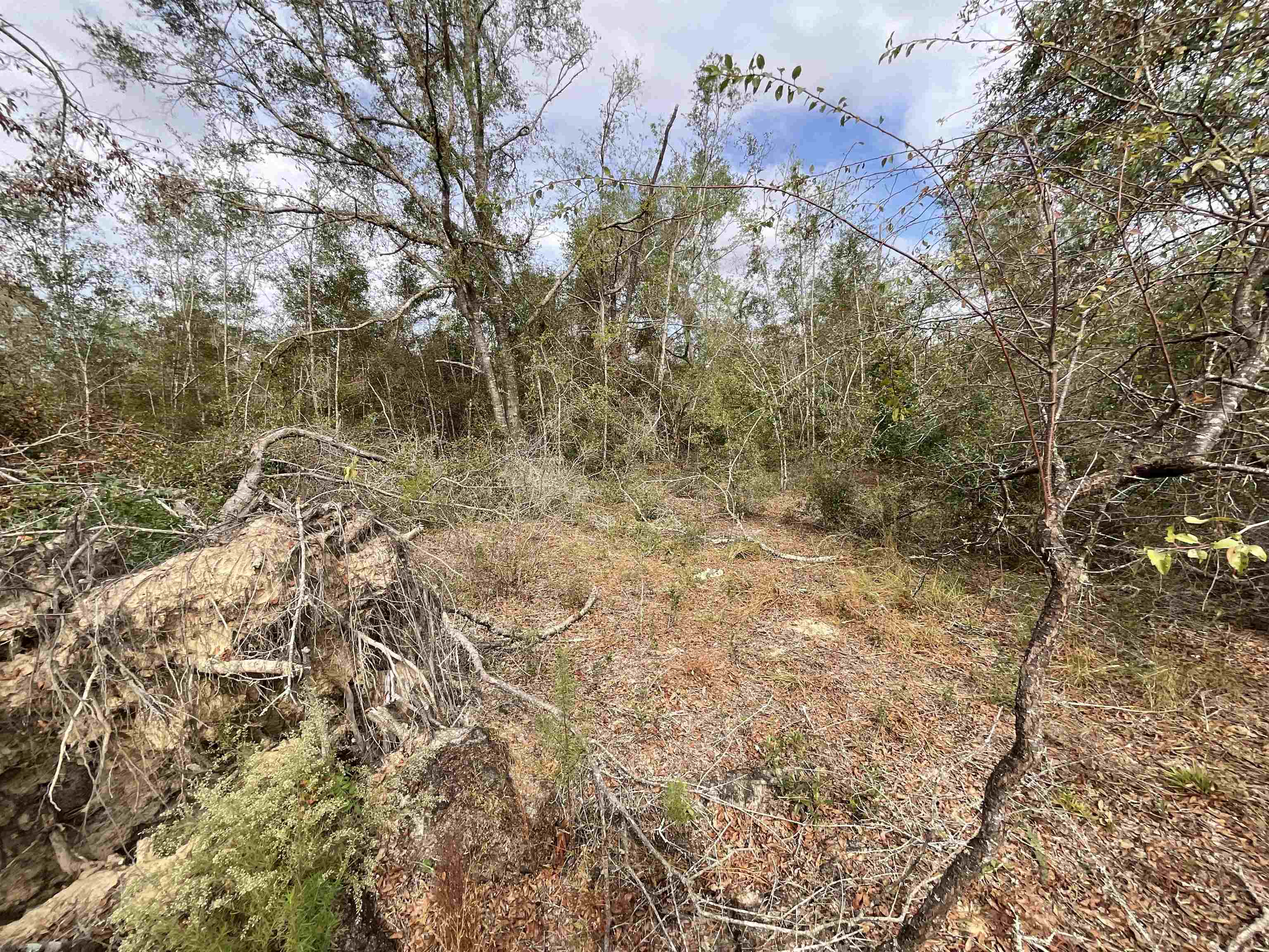 Vacant SE River Road, Lee, Florida image 38