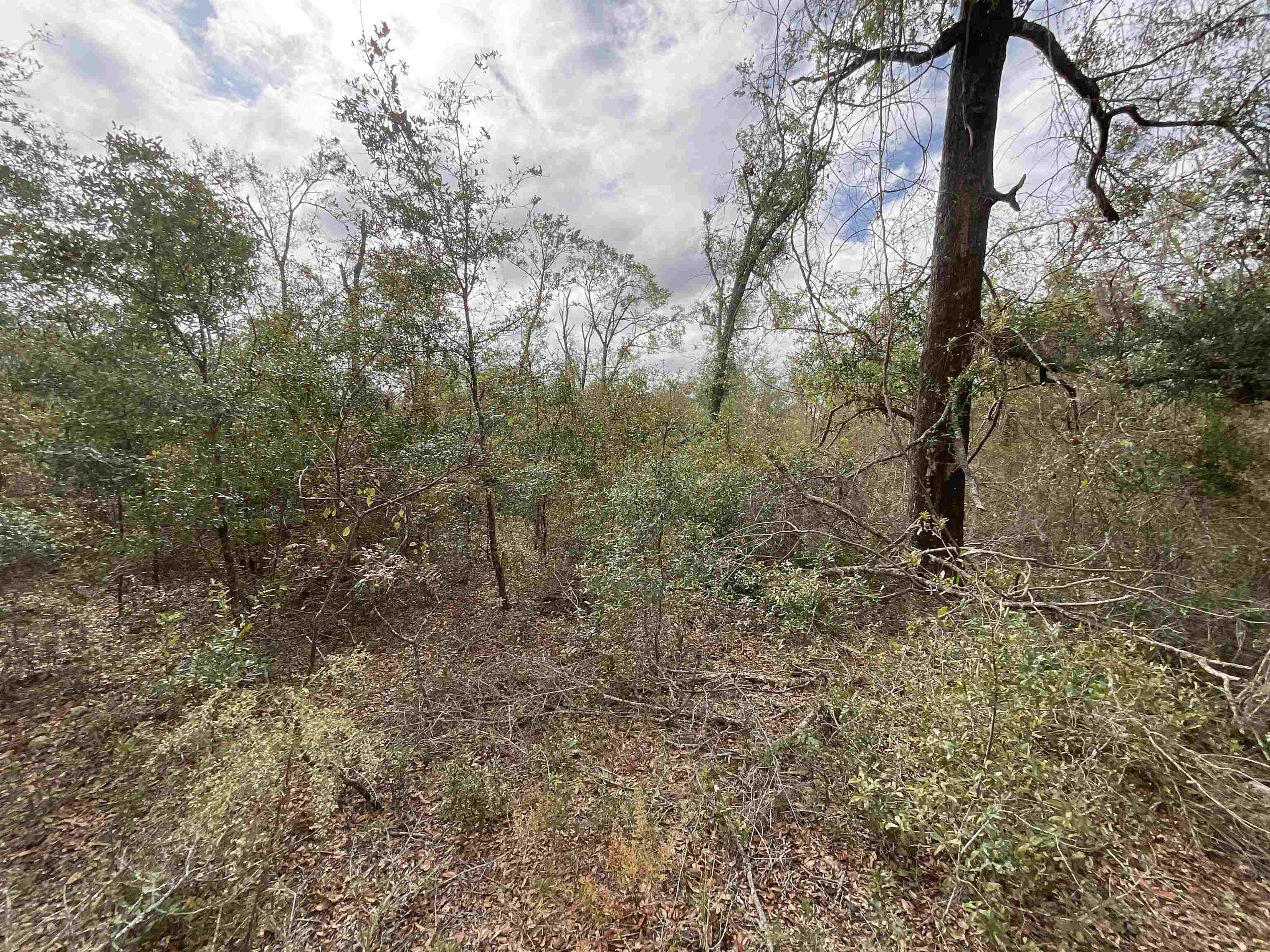 Vacant SE River Road, Lee, Florida image 39