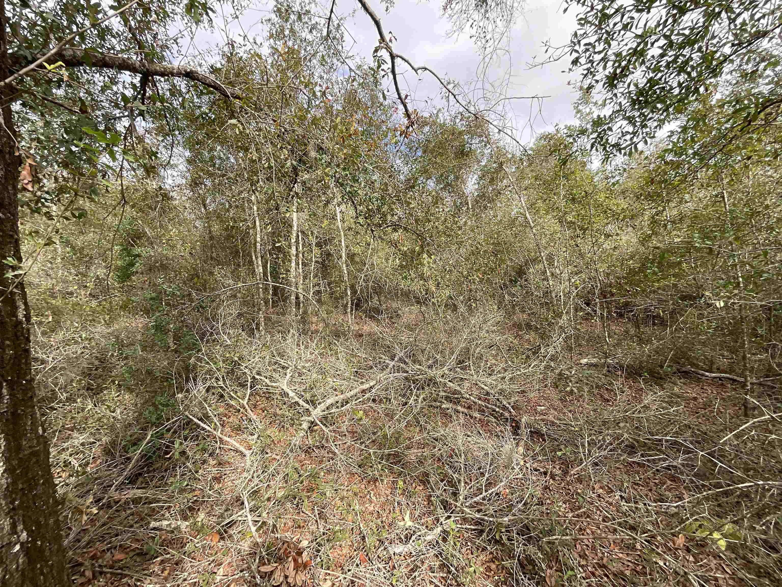 Vacant SE River Road, Lee, Florida image 40
