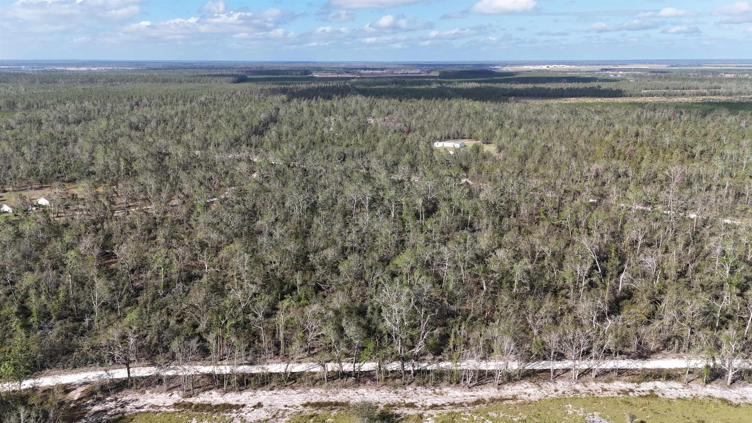 Vacant SE River Road, Lee, Florida image 6