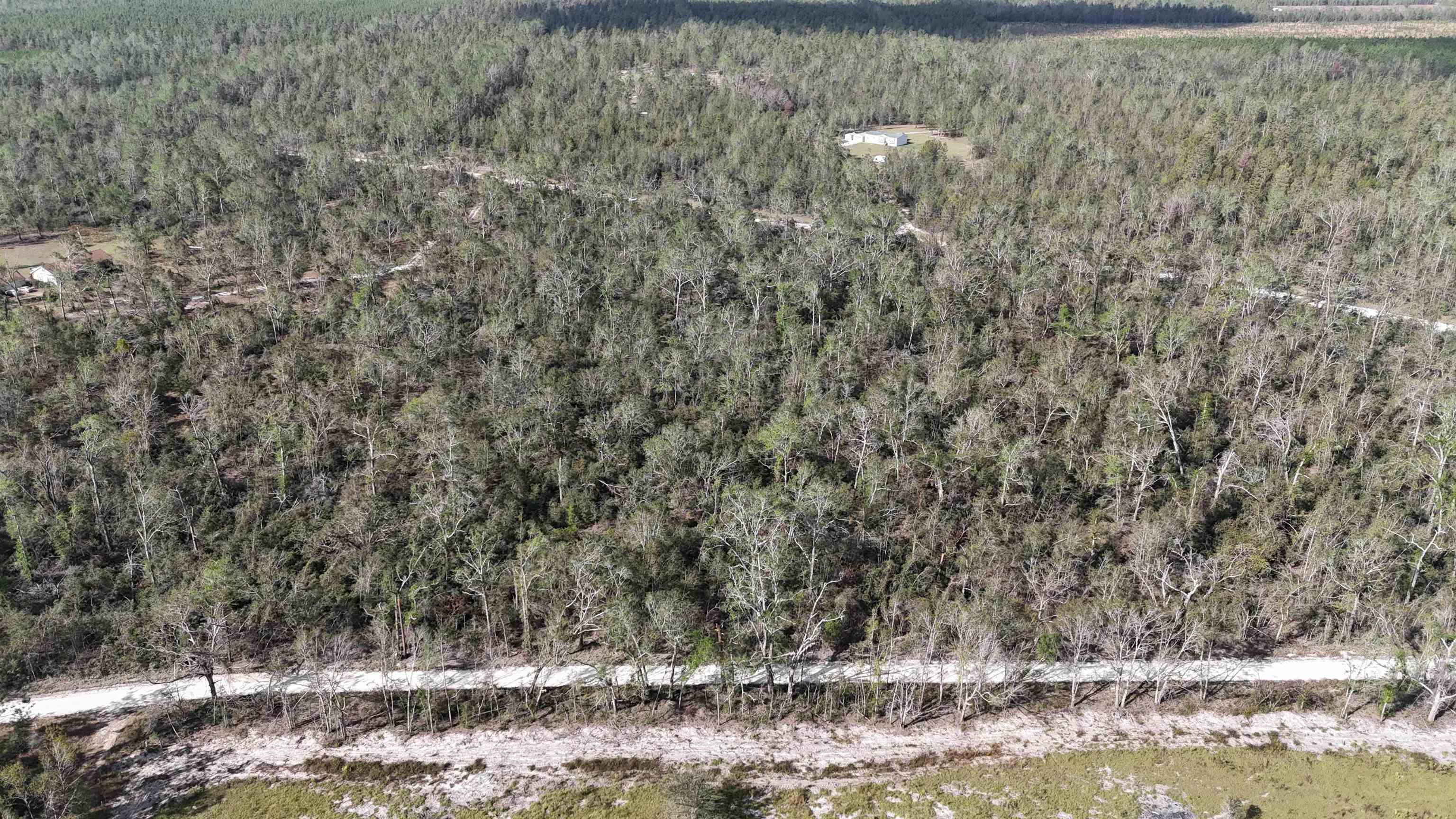 Vacant SE River Road, Lee, Florida image 7