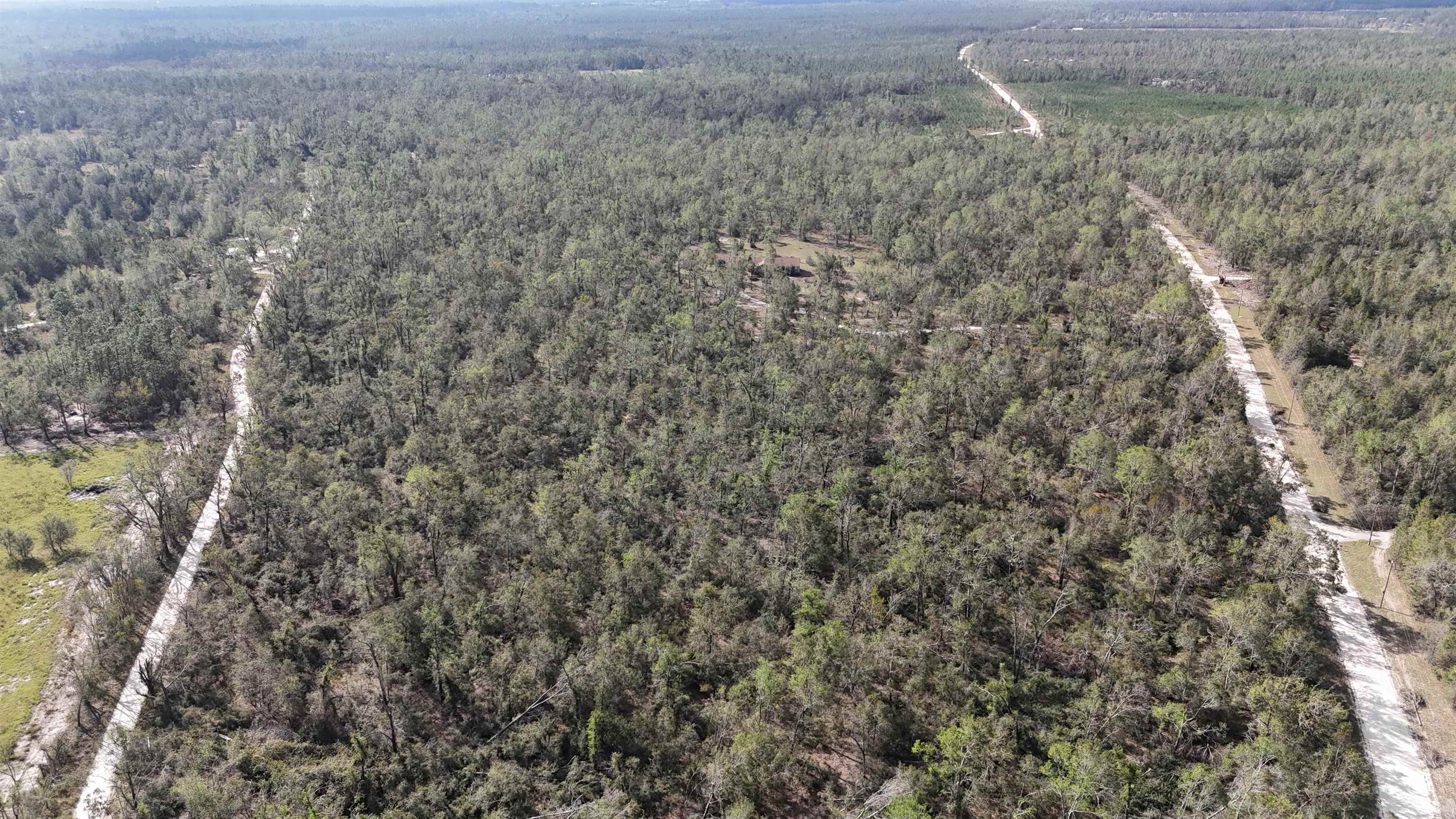 Vacant SE River Road, Lee, Florida image 9