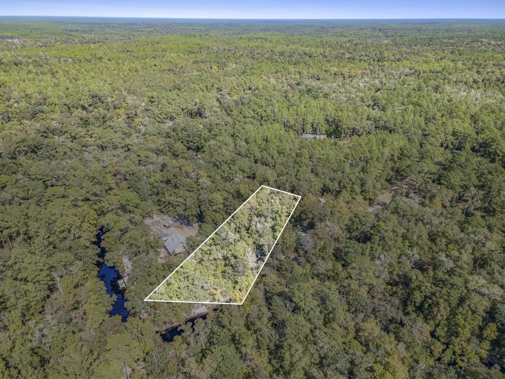 Lot 15 Fonigan Road, Sopchoppy, Florida image 1