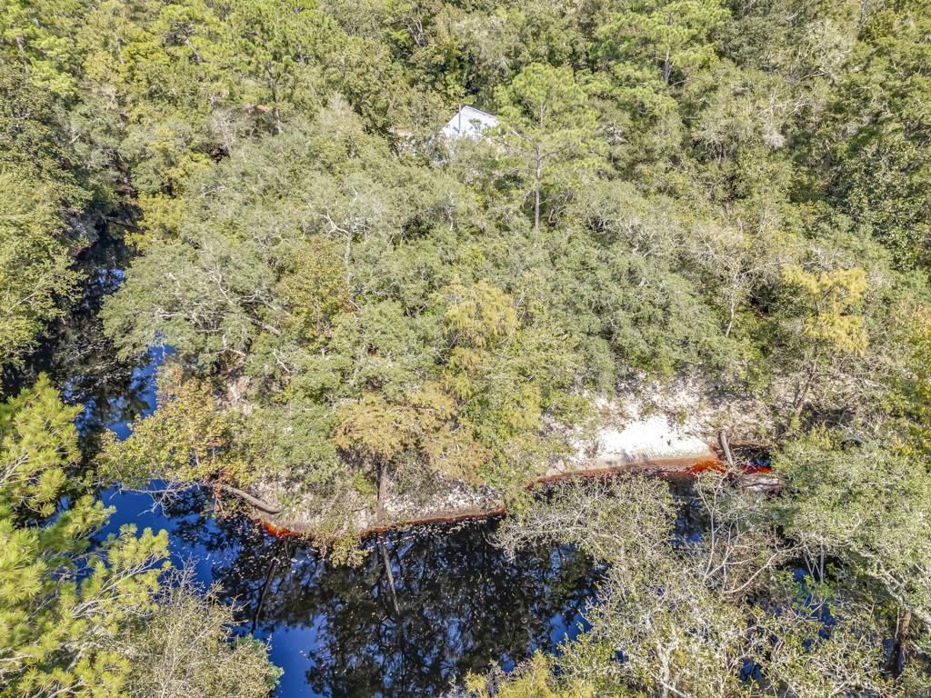 Lot 15 Fonigan Road, Sopchoppy, Florida image 3