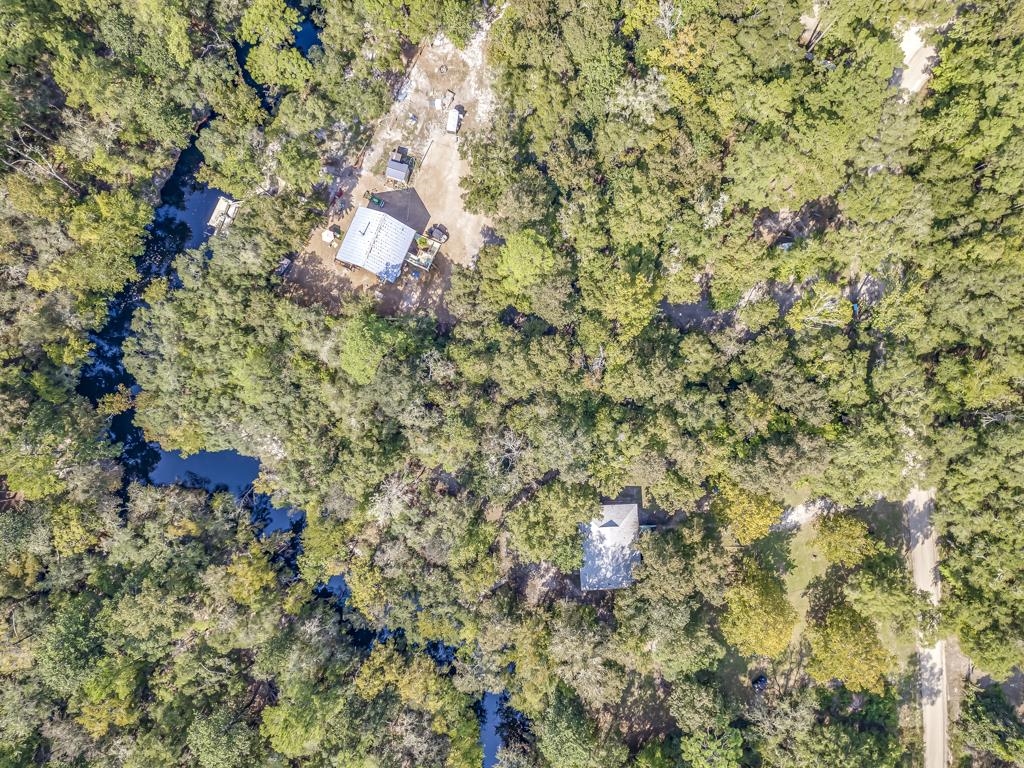 Lot 15 Fonigan Road, Sopchoppy, Florida image 4