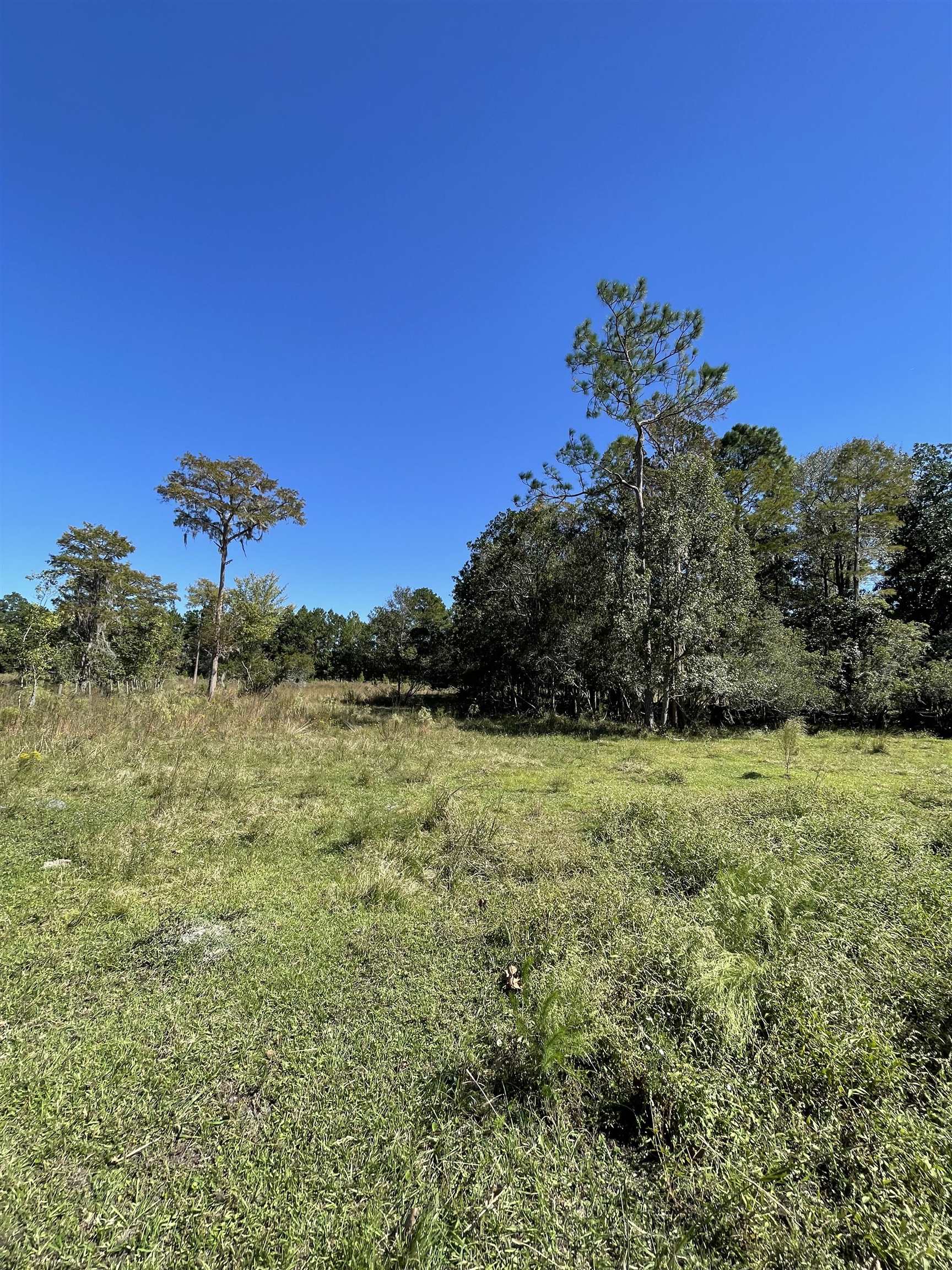 7340 Smith Creek Road, Sopchoppy, Florida image 18