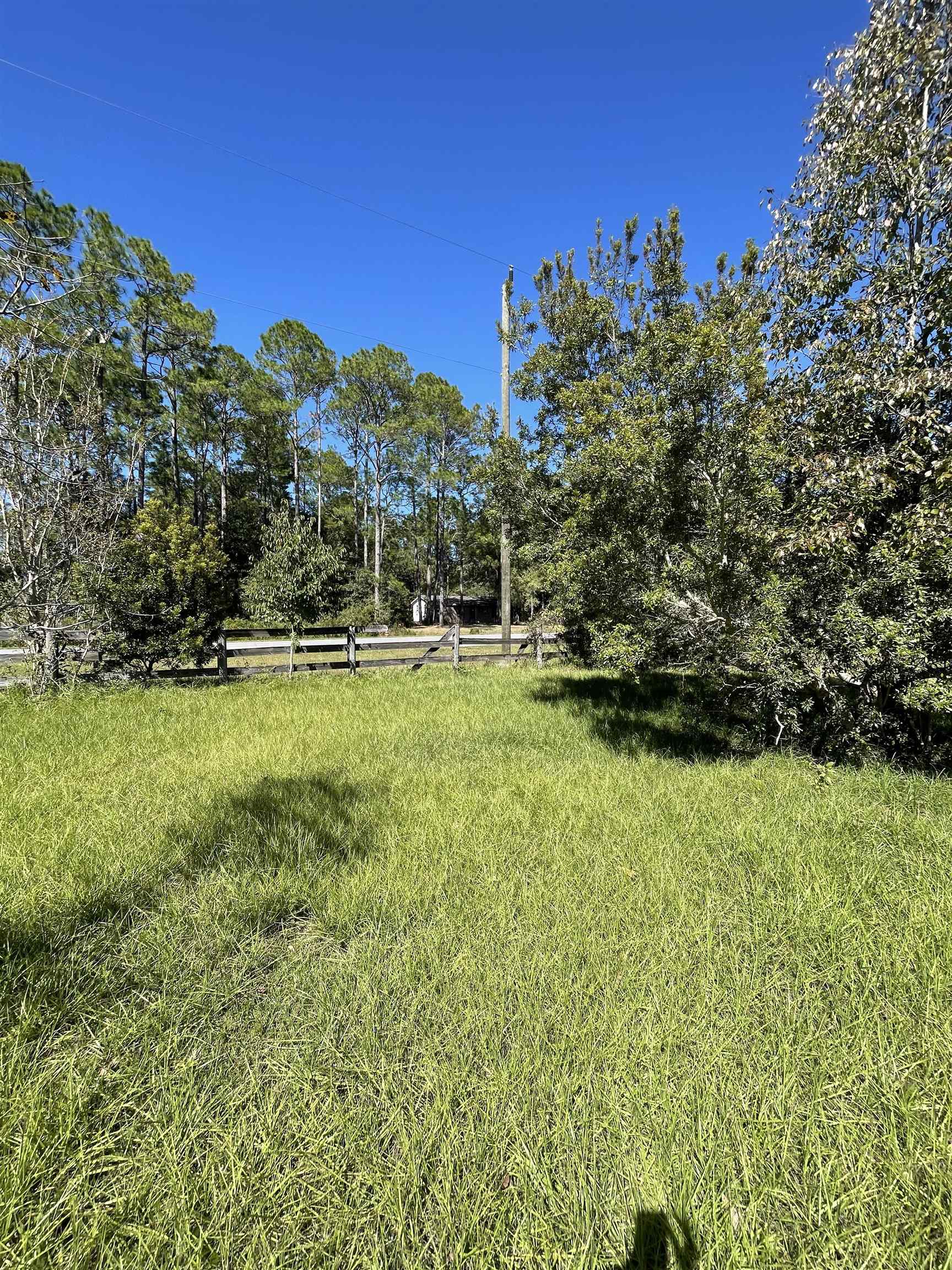 7340 Smith Creek Road, Sopchoppy, Florida image 6