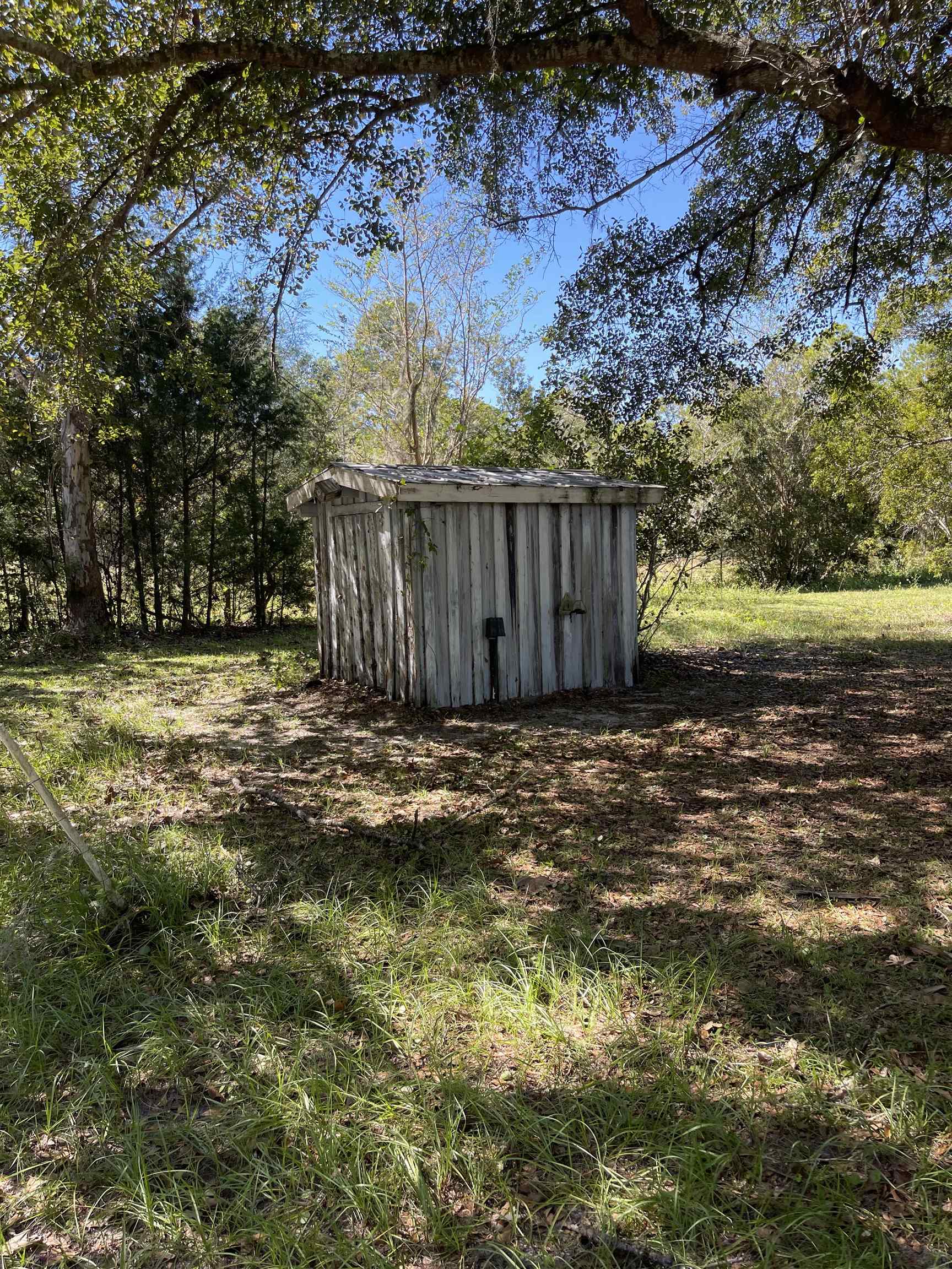 7340 Smith Creek Road, Sopchoppy, Florida image 9