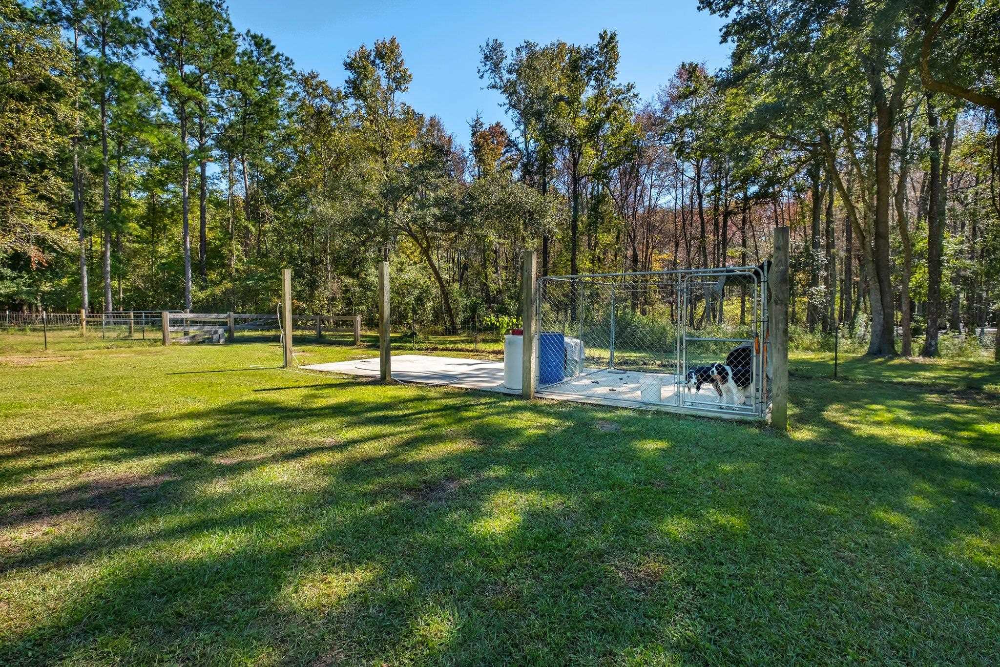 12133 Lope Along Trail, Tallahassee, Florida image 9