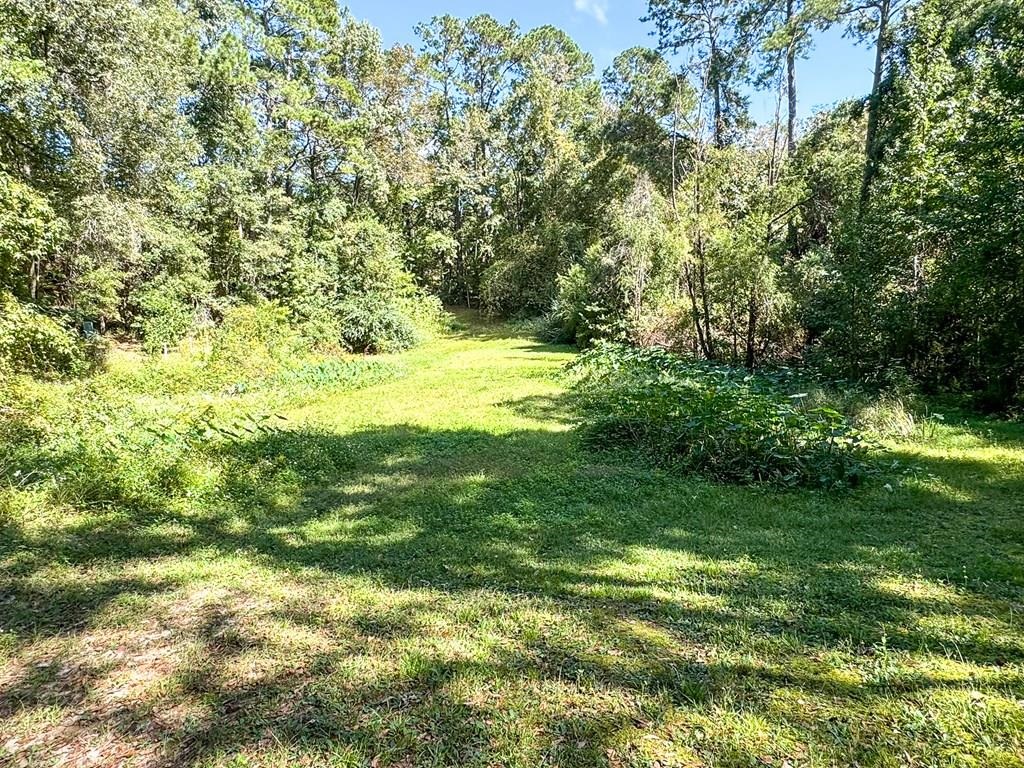 3711 Fawn Lane, Tallahassee, Florida image 9