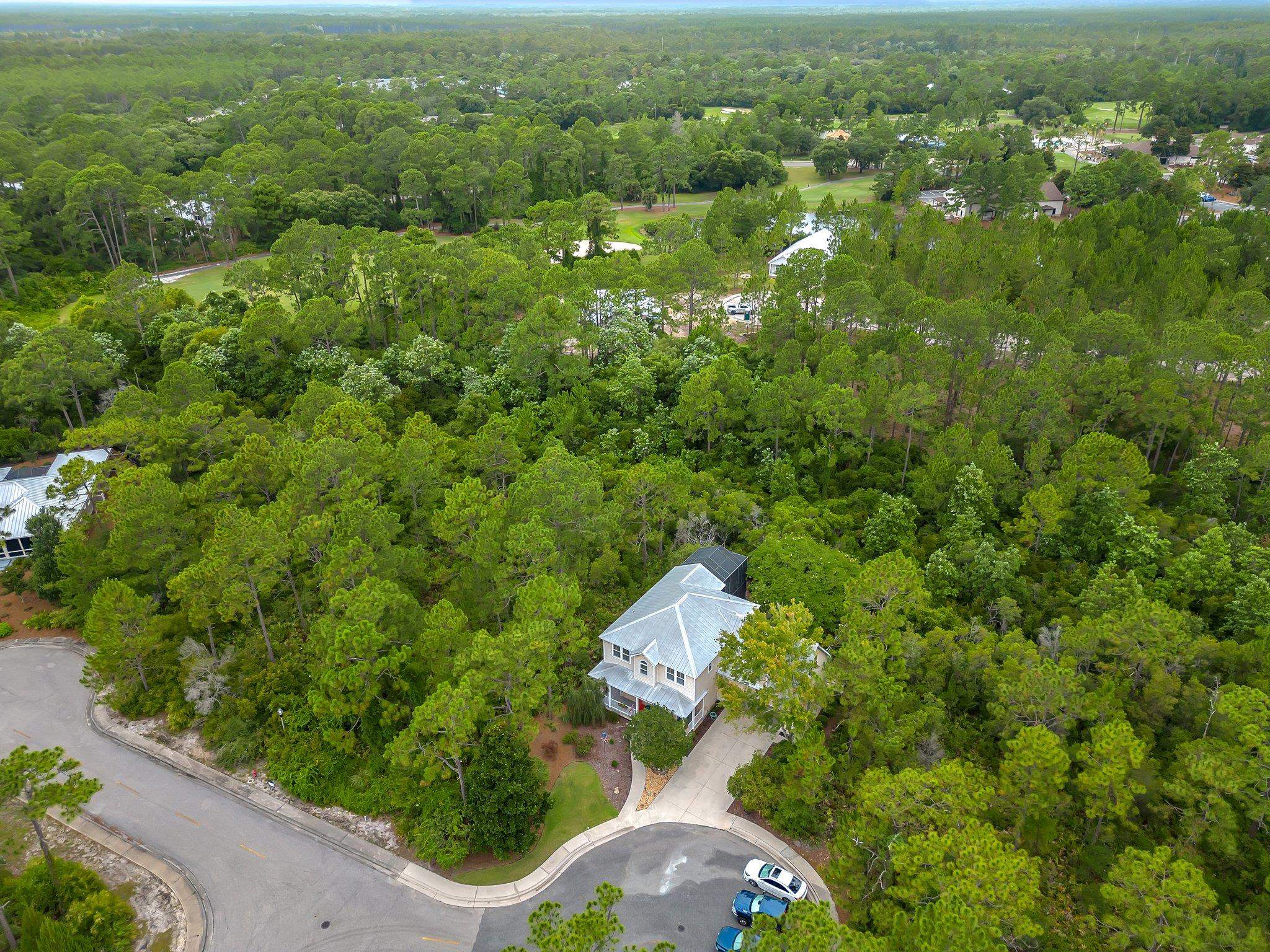 171 White Pelican Court, Carrabelle, Florida image 37