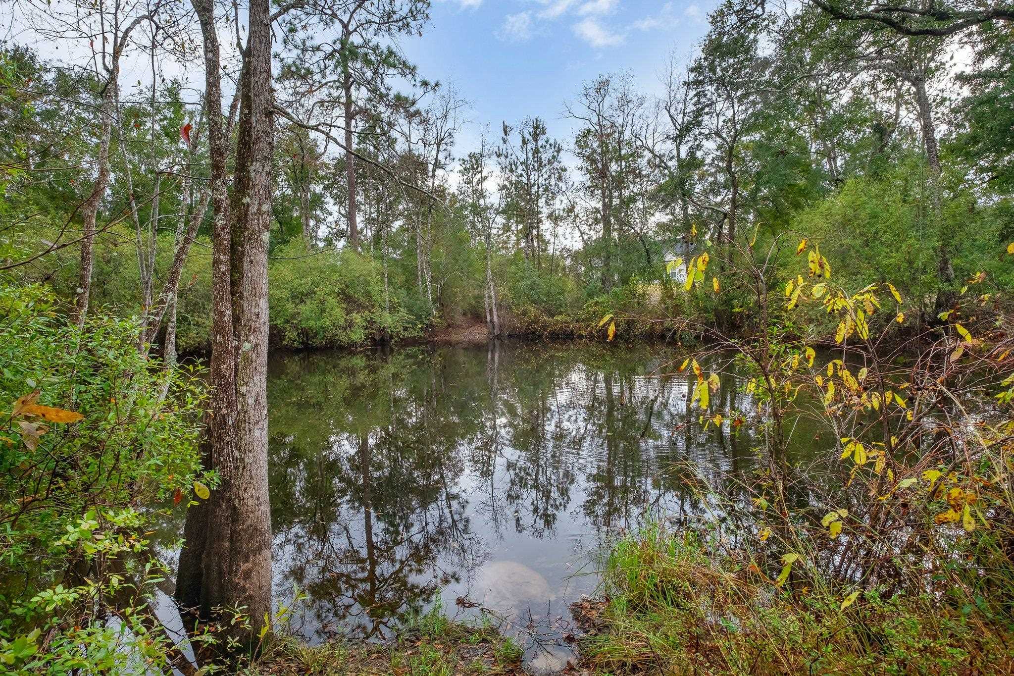 49 Mallard Pond Circle, Crawfordville, Florida image 35