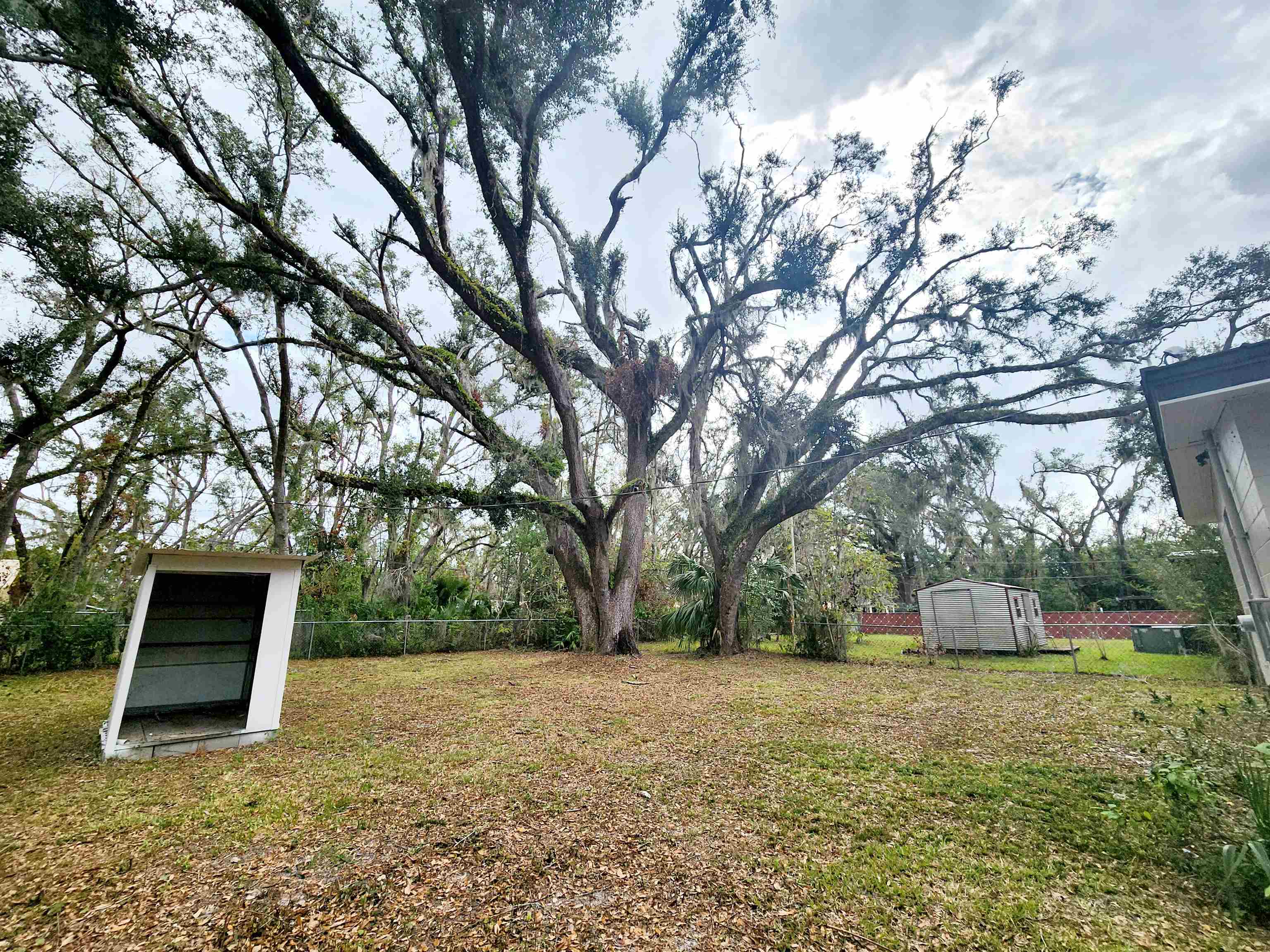 212 Cypress Road, Perry, Florida image 28