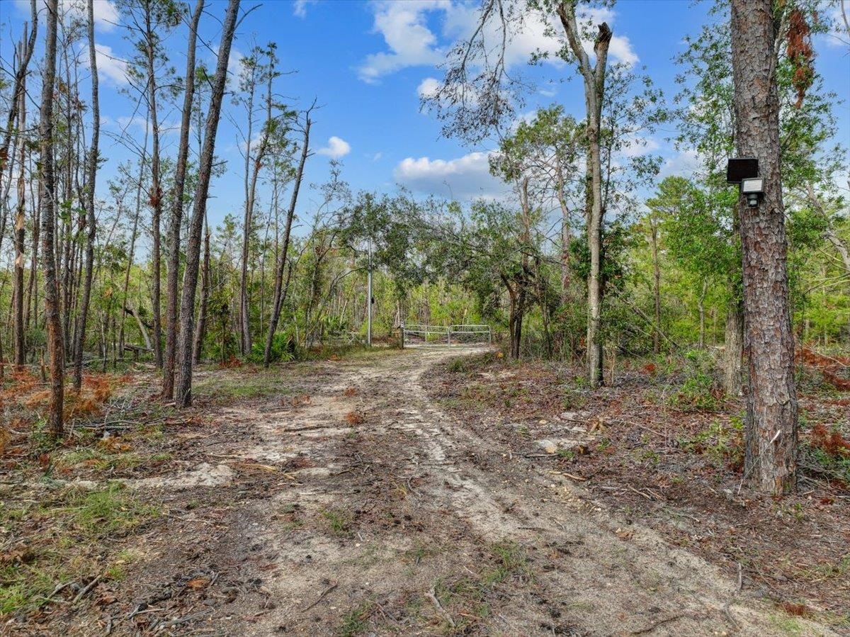 18965 Blacktail Way, Perry, Florida image 5