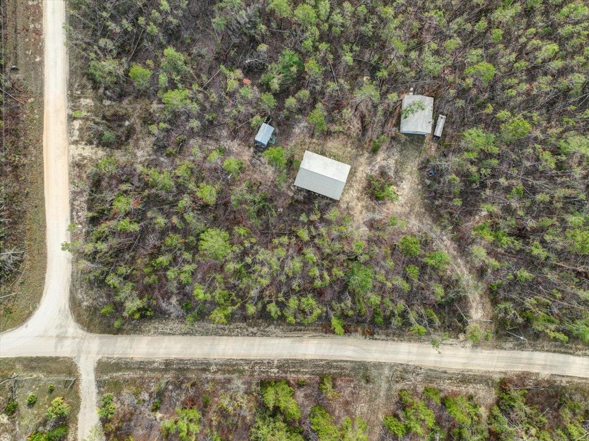 18965 Blacktail Way, Perry, Florida image 7