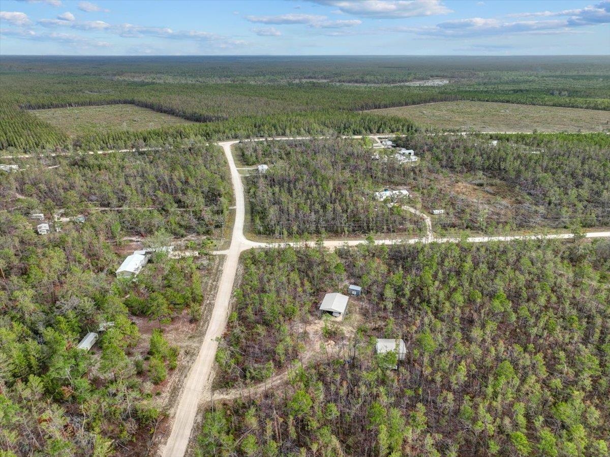 18965 Blacktail Way, Perry, Florida image 8