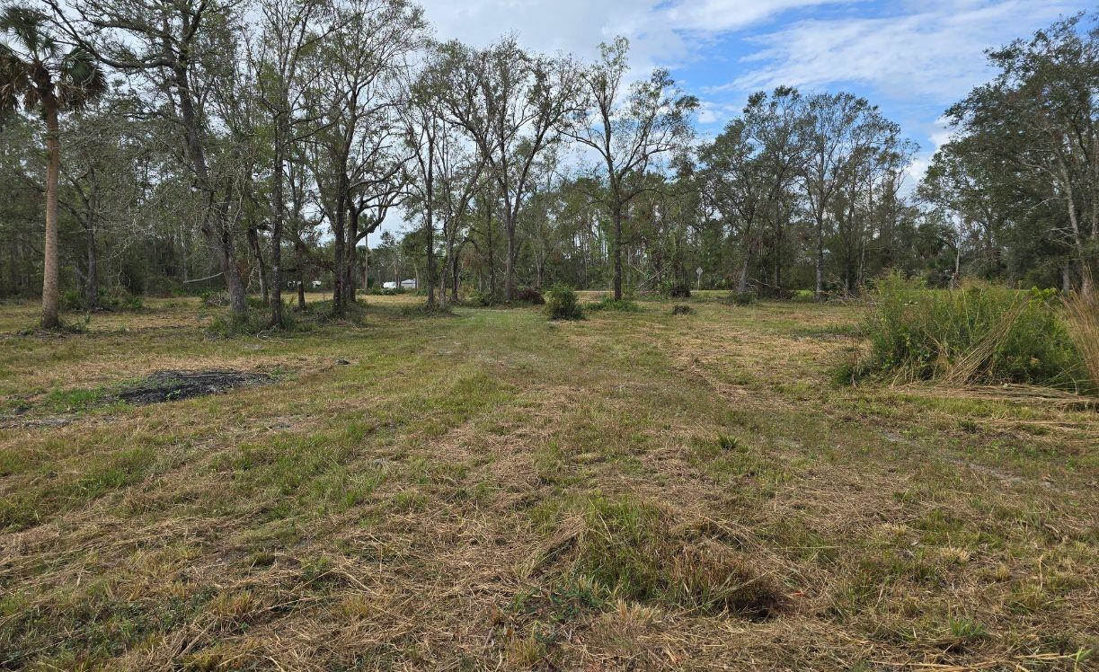 4899 W Hampton Springs Road, Perry, Florida image 7