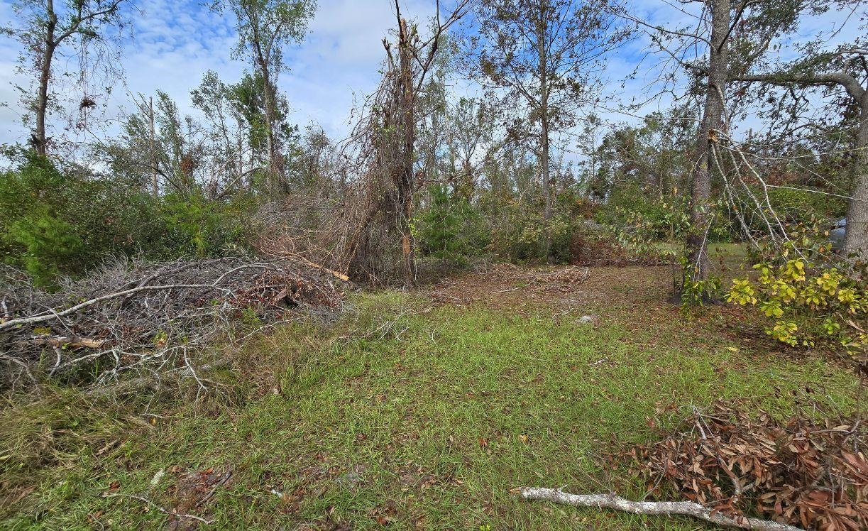 4899 W Hampton Springs Road, Perry, Florida image 9