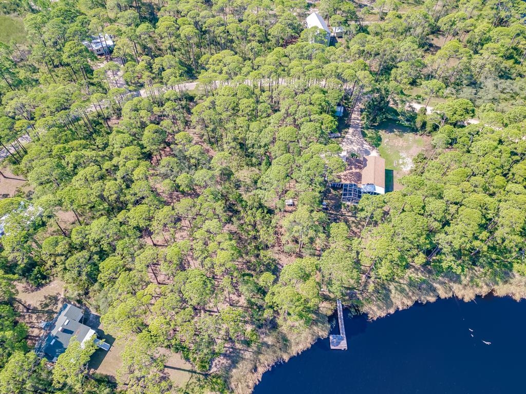 51 Lakeview Drive, Alligator Point, Florida image 12