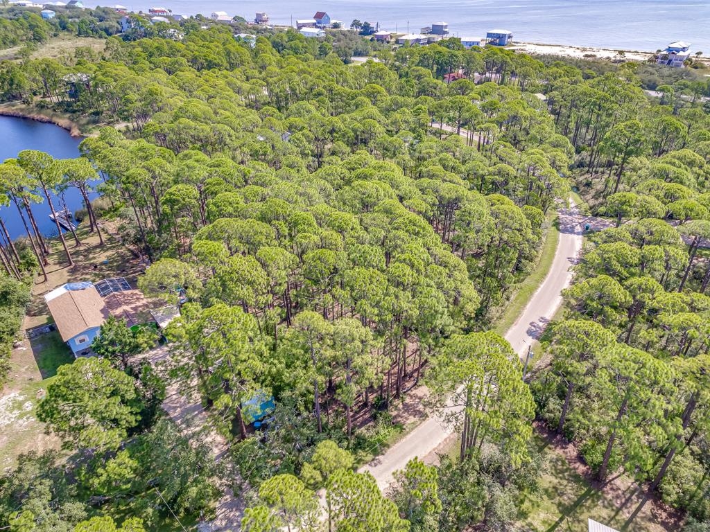 51 Lakeview Drive, Alligator Point, Florida image 16