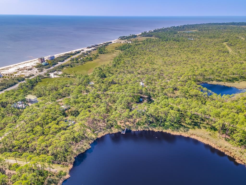 51 Lakeview Drive, Alligator Point, Florida image 8