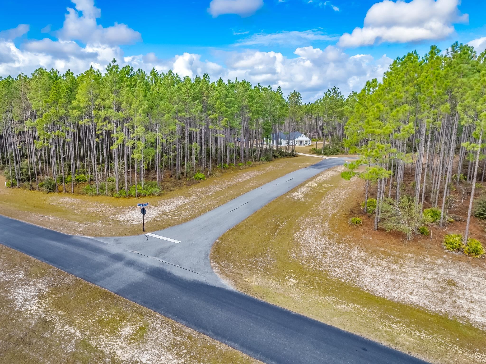 12329 Trotting Horse Court, Tallahassee, Florida image 5