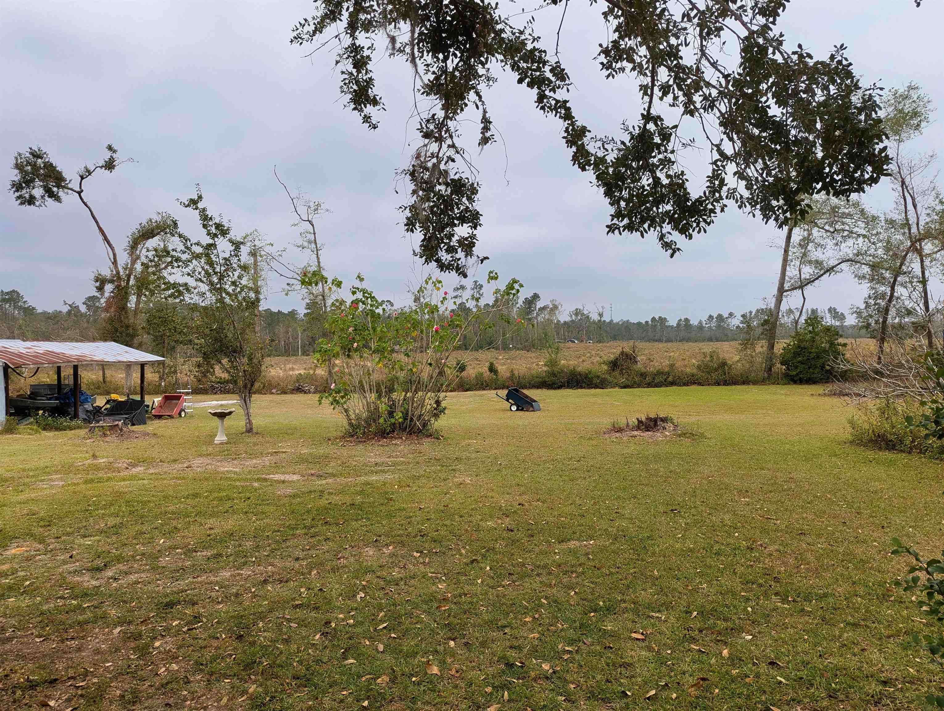 491 NE Dusty Miller Avenue, Madison, Florida image 35