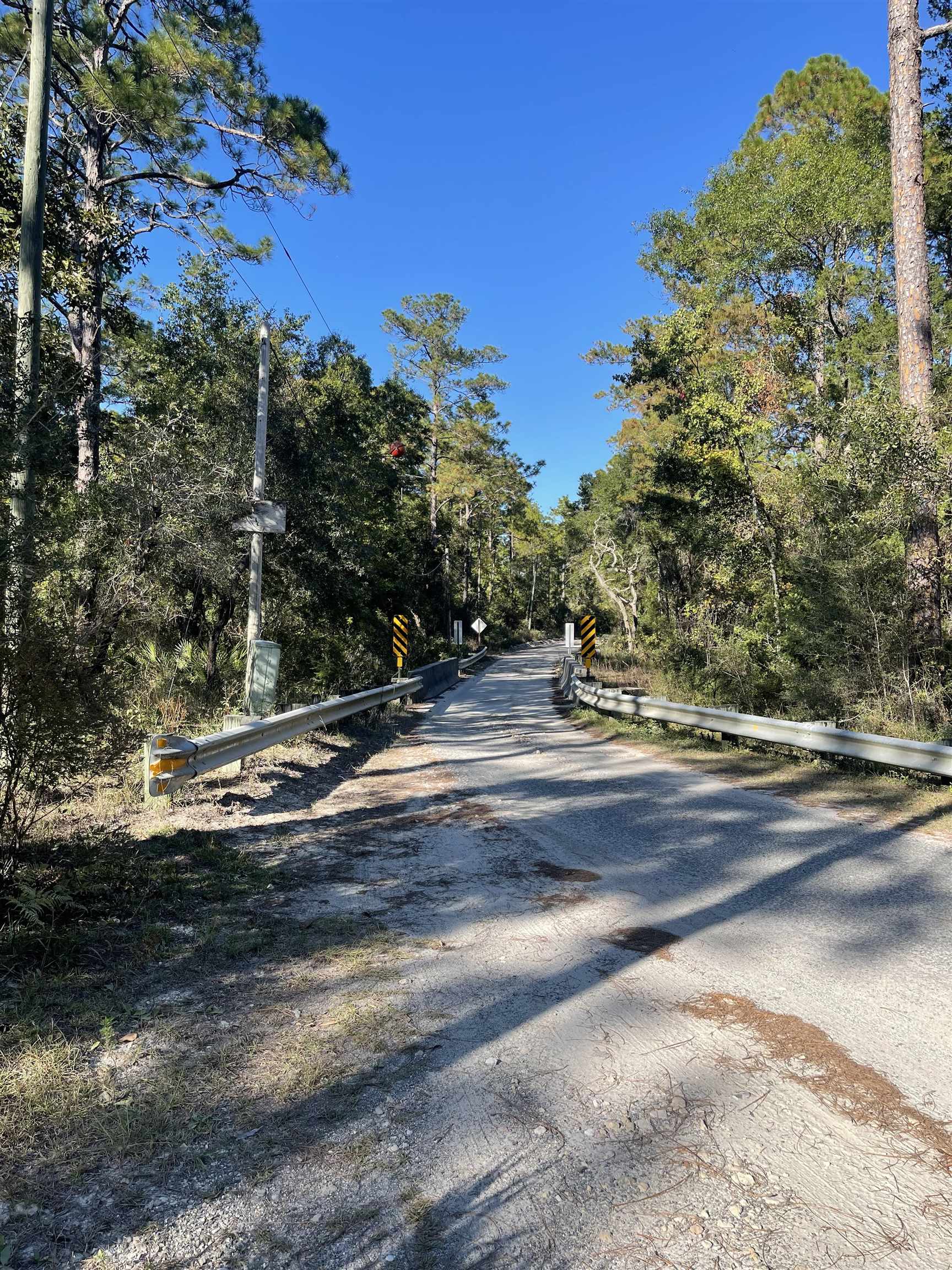 Xx Buckhorn Creek Road, Sopchoppy, Florida image 3