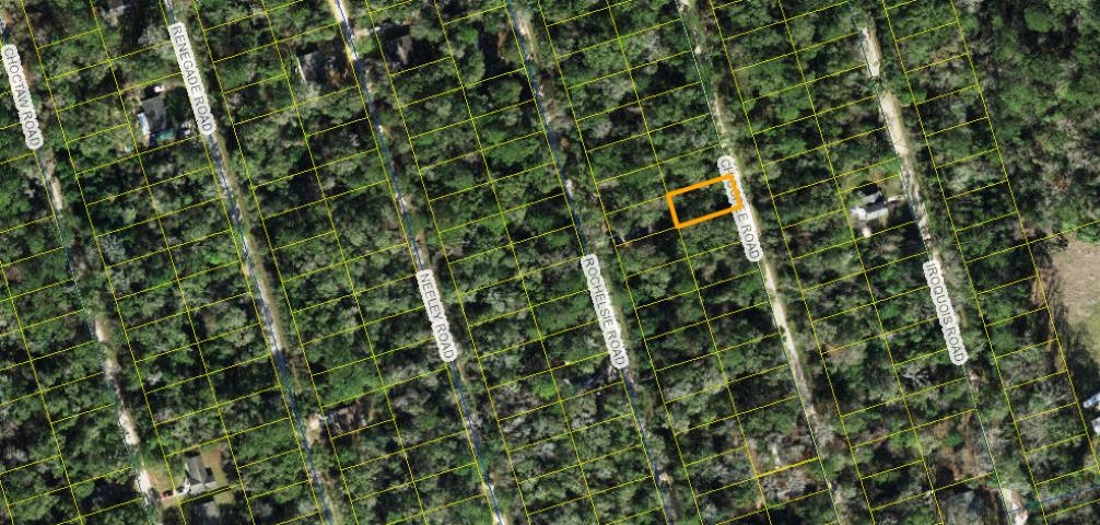 X Chicopee Road, Crawfordville, Florida image 1