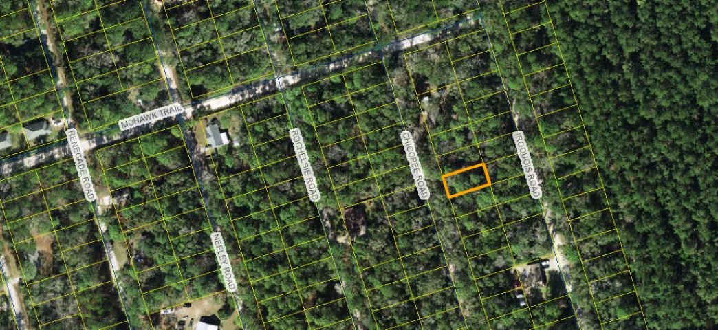 Xx Chicopee Road, Crawfordville, Florida image 1